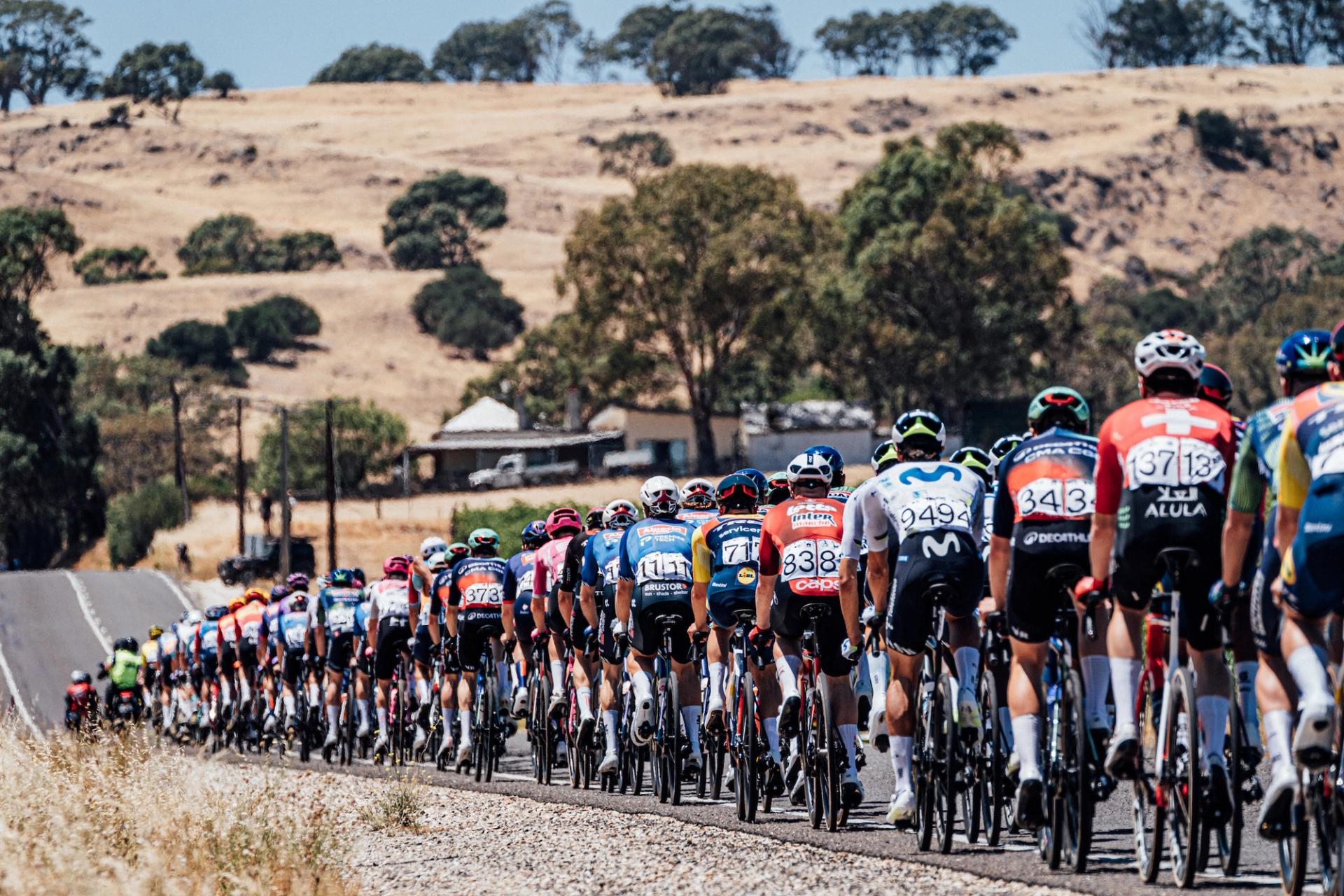 Picture by Zac Williams/SWpix.com - 21/01/2026 - Cycling - 2026 Tour Down Under - Stage 1 - Tanunda to Tanunda - The peloton