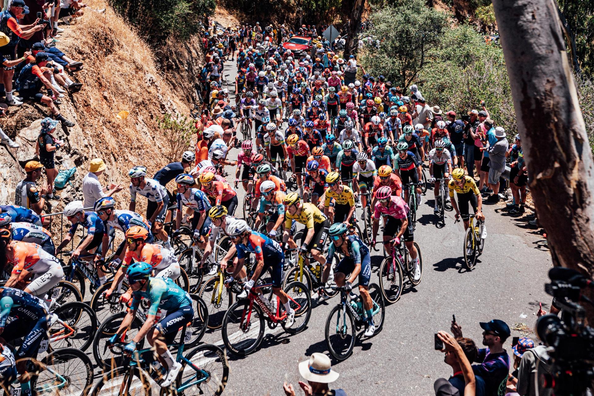 Picture by Zac Williams/SWpix.com - 22/01/2026 - Cycling - 2026 Tour Down Under - Stage 2 - Norwood to Uraidla - The peloton ascend Corkscrew Road.