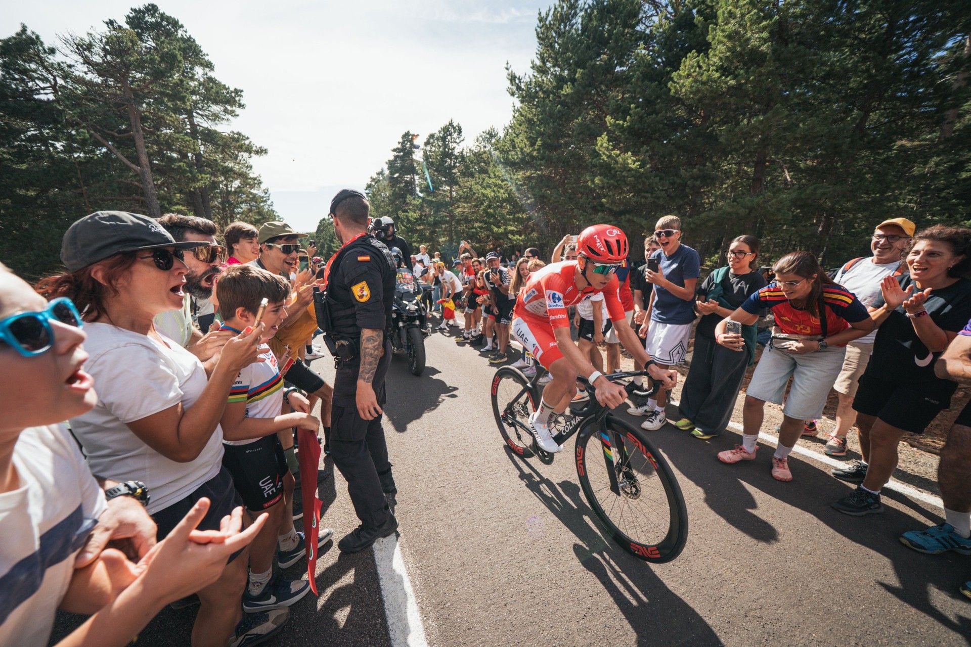 'He is devastated', Pogačar abandon delivers the Vuelta twist nobody wanted