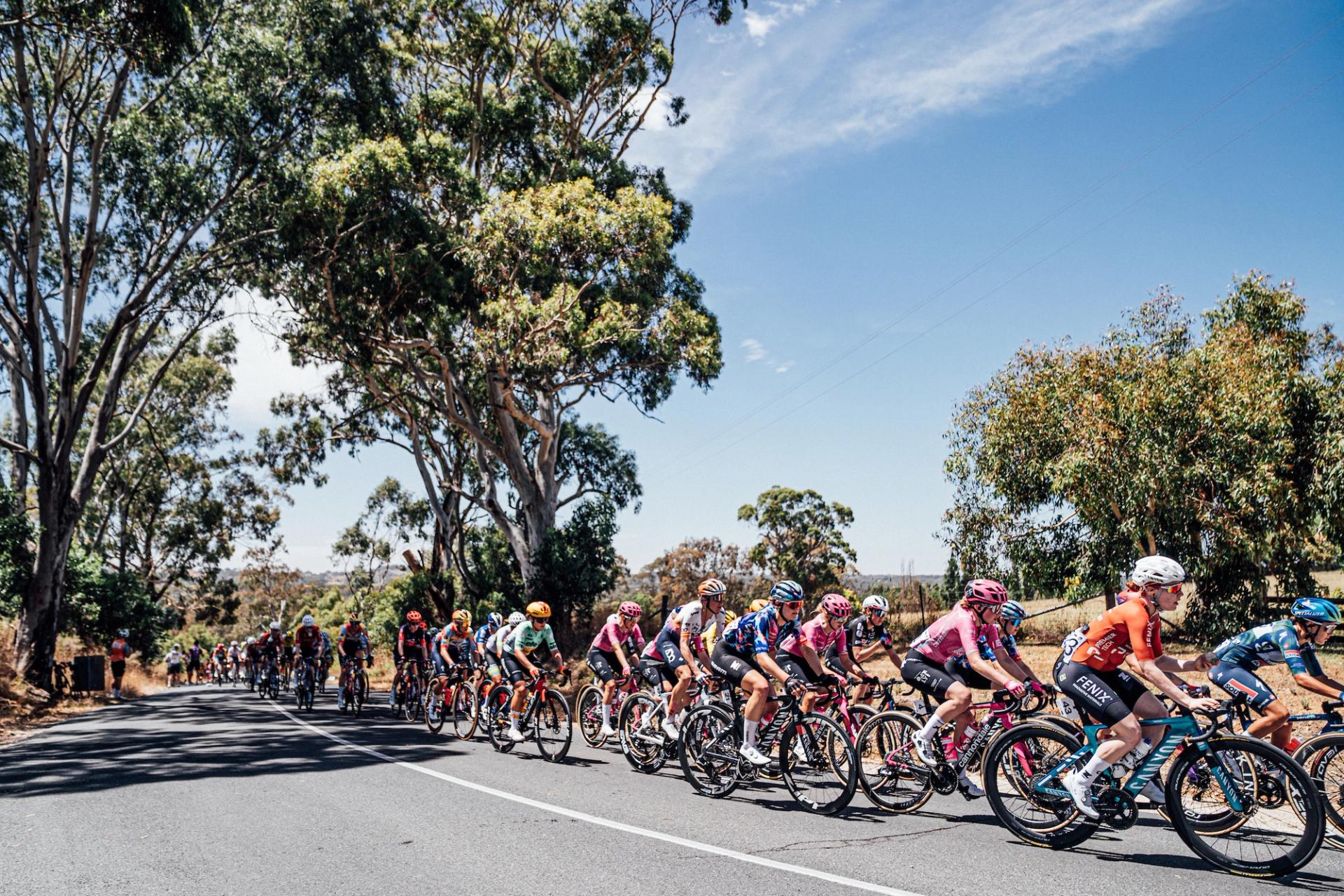Picture by Zac Williams/SWpix.com - 18/01/2026 - Cycling - 2026 Women's Tour Down Under Stage 2 - Magill to Paracombe - The peloton.