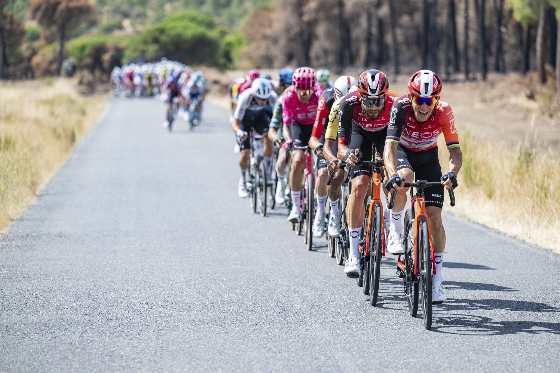 Inside the 2026 Pro Strava Season: Kwiatkowski’s 7,800km, Jorgenson’s 135,000m of climbing, and Pogačar’s mega-ride