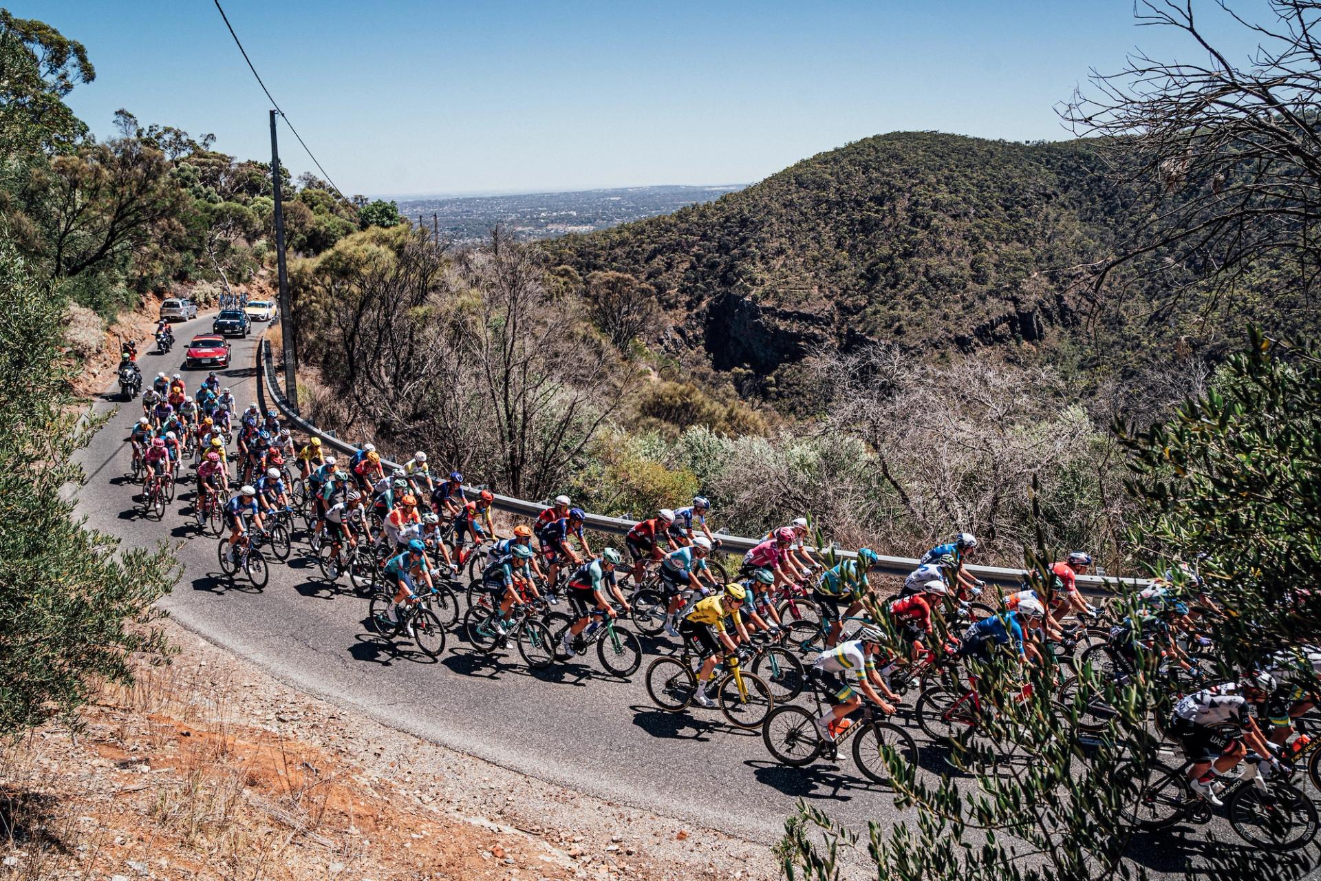 Picture by Zac Williams/SWpix.com - 22/01/2026 - Cycling - 2026 Tour Down Under - Stage 2 - Norwood to Uraidla - The peloton ascend Norton Summit.