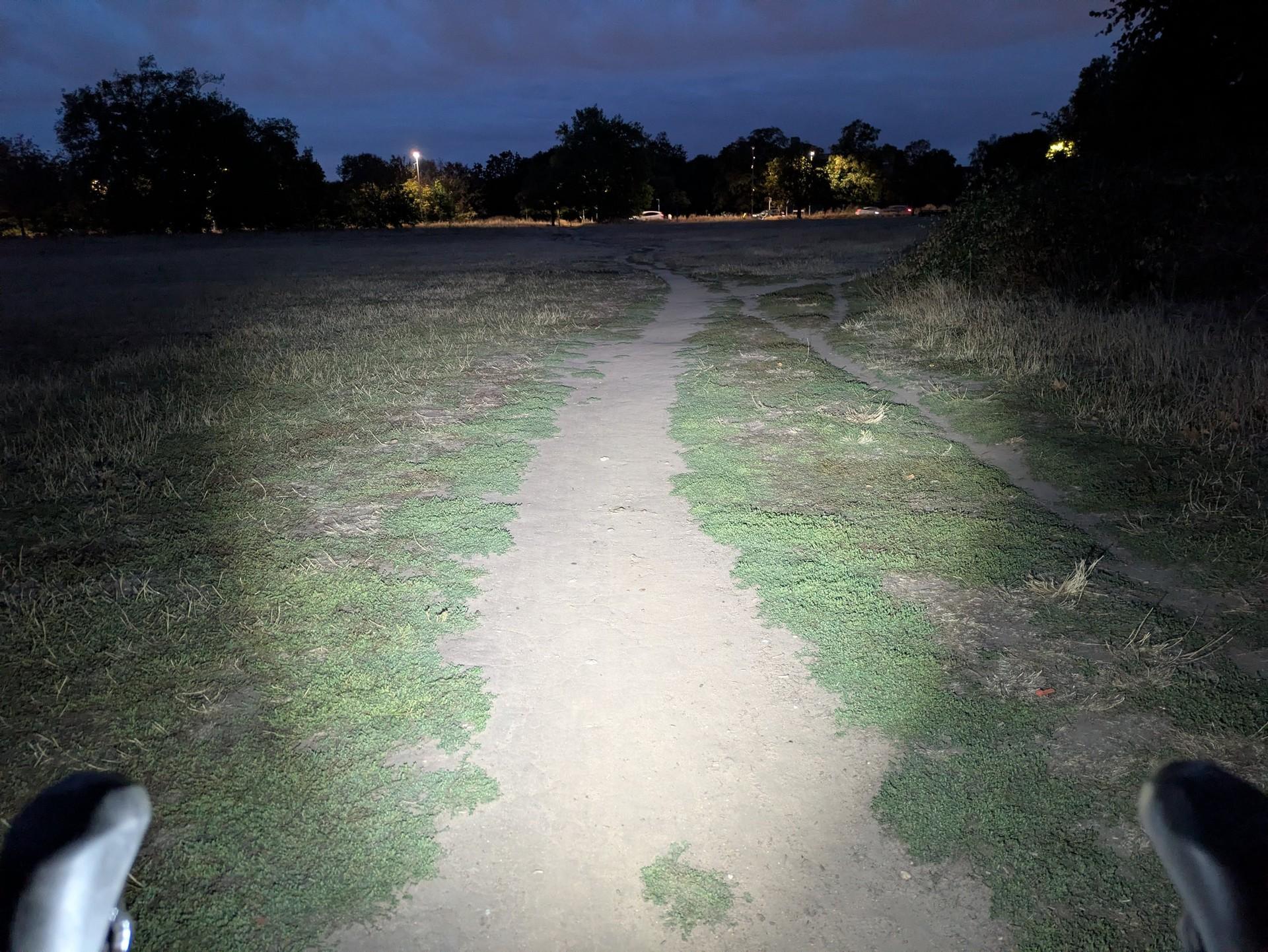 Towild CL1200 front light illuminates a grassy dirt path at night, with bicycle handlebars visible at the bottom.