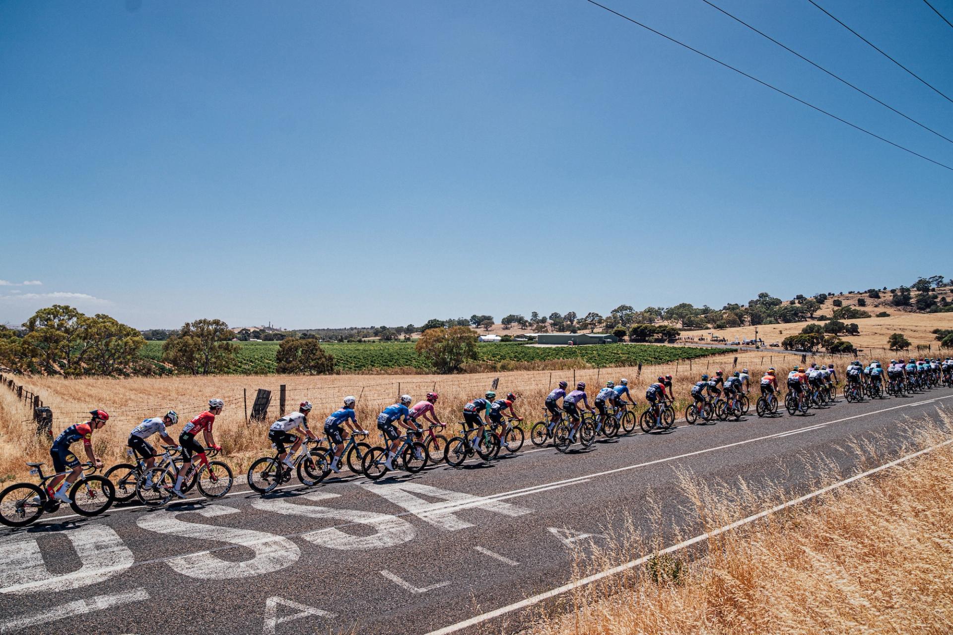 Picture by Zac Williams/SWpix.com - 21/01/2026 - Cycling - 2026 Tour Down Under - Stage 1 - Tanunda to Tanunda - The peloton.
