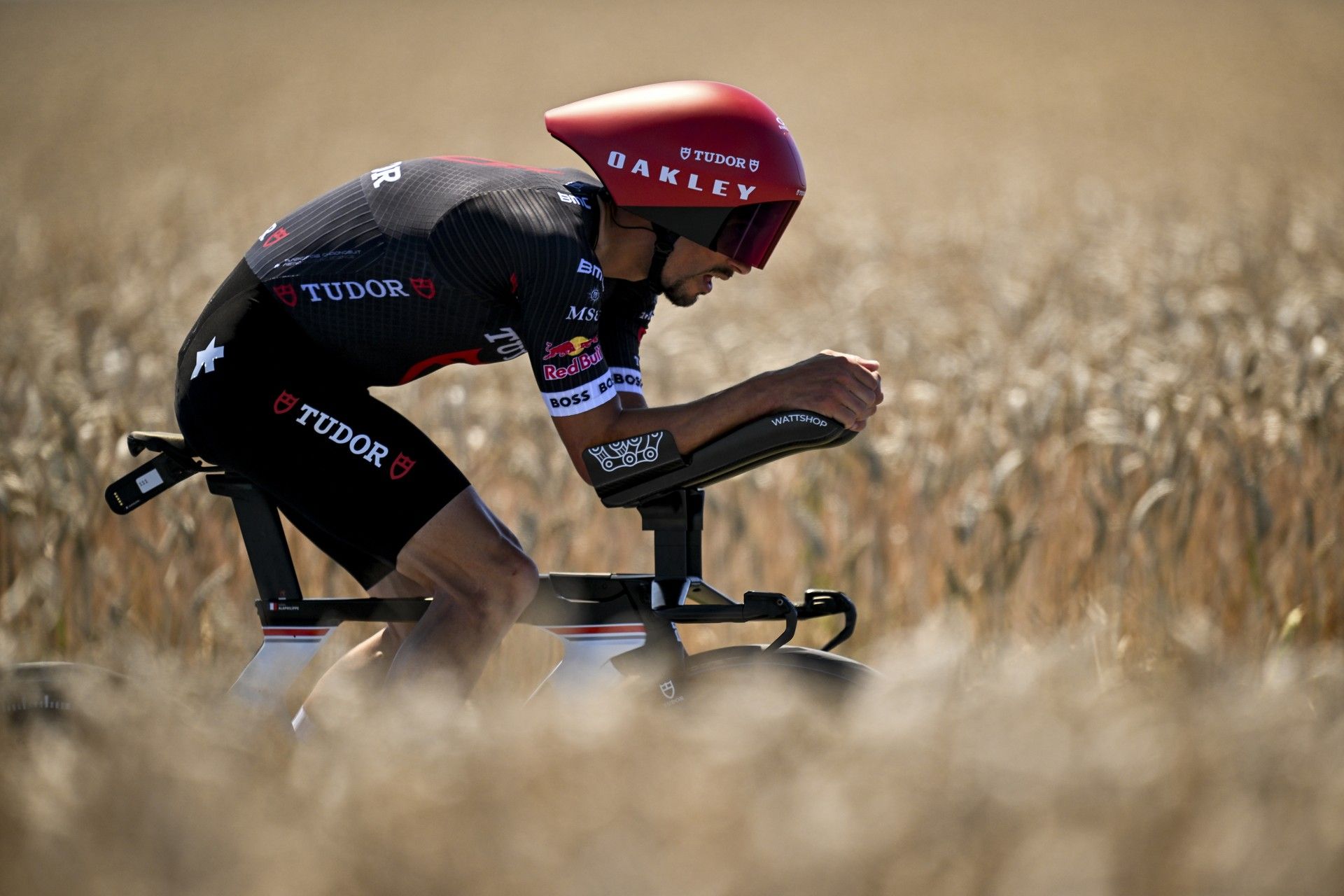 Alaphilippe (Tudor) in aero TT position riding through golden fields during Tour de France.
