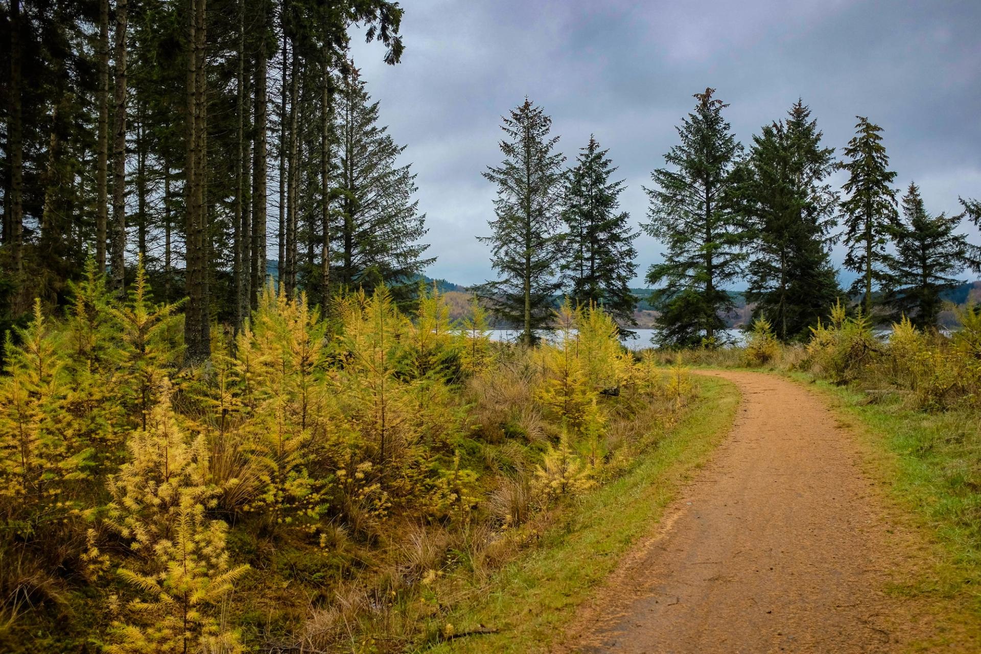 Panaracer Dirty Reiver: Britain’s gravel rite of passage