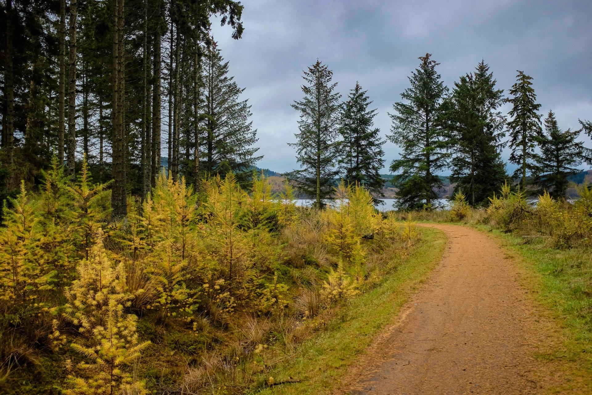 Panaracer Dirty Reiver: Britain’s gravel rite of passage