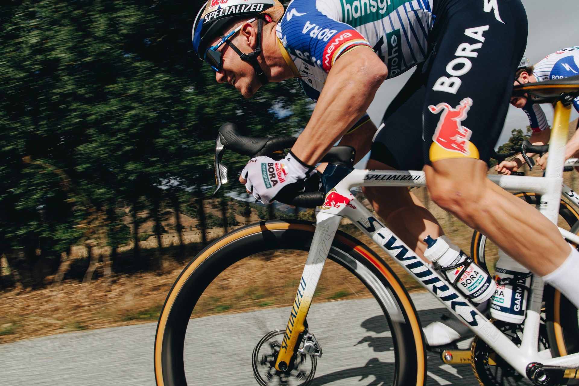 Specialized Cotton TLR finally goes official after nine months lurking in the WorldTour peloton