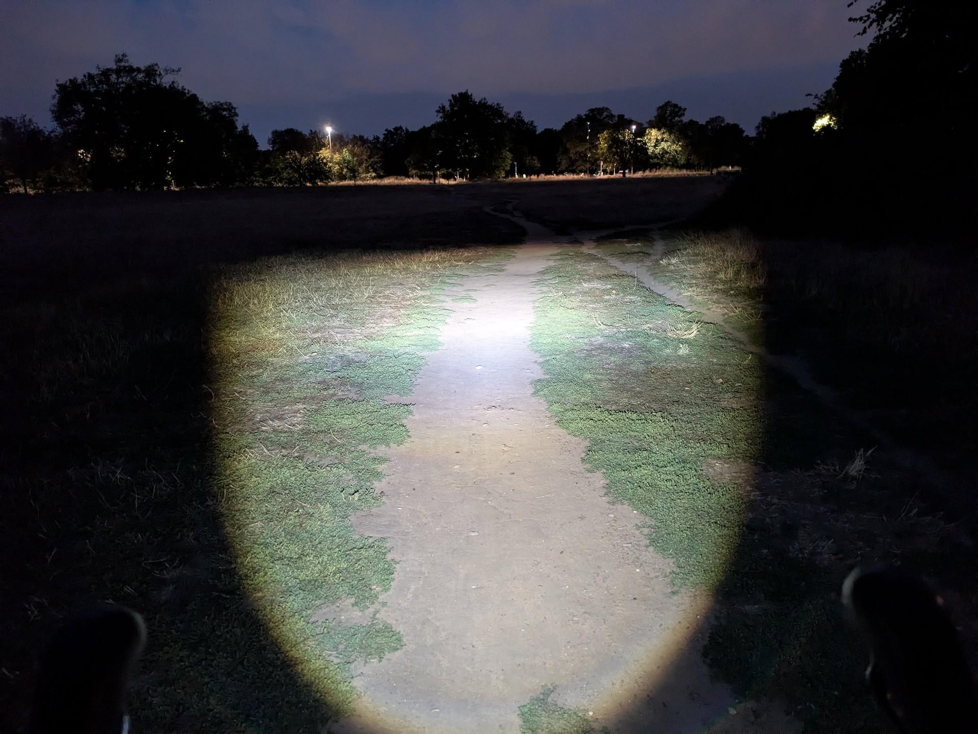 The URBO FL illuminates a short stretch of path at night, with trees and streetlights beyond.