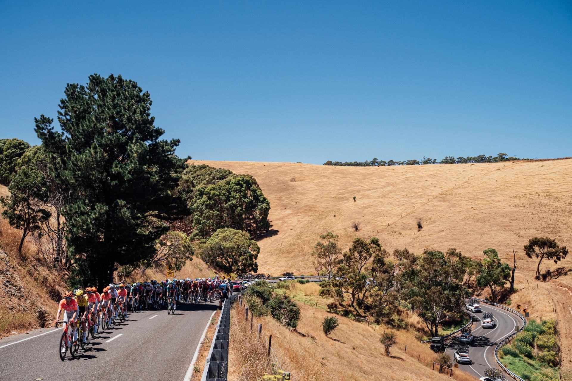 Picture by Zac Williams/SWpix.com - 23/01/2026 - Cycling - 2026 Tour Down Under - Stage 3 - Henley Beach to Nairne - The peloton during Stage 3.