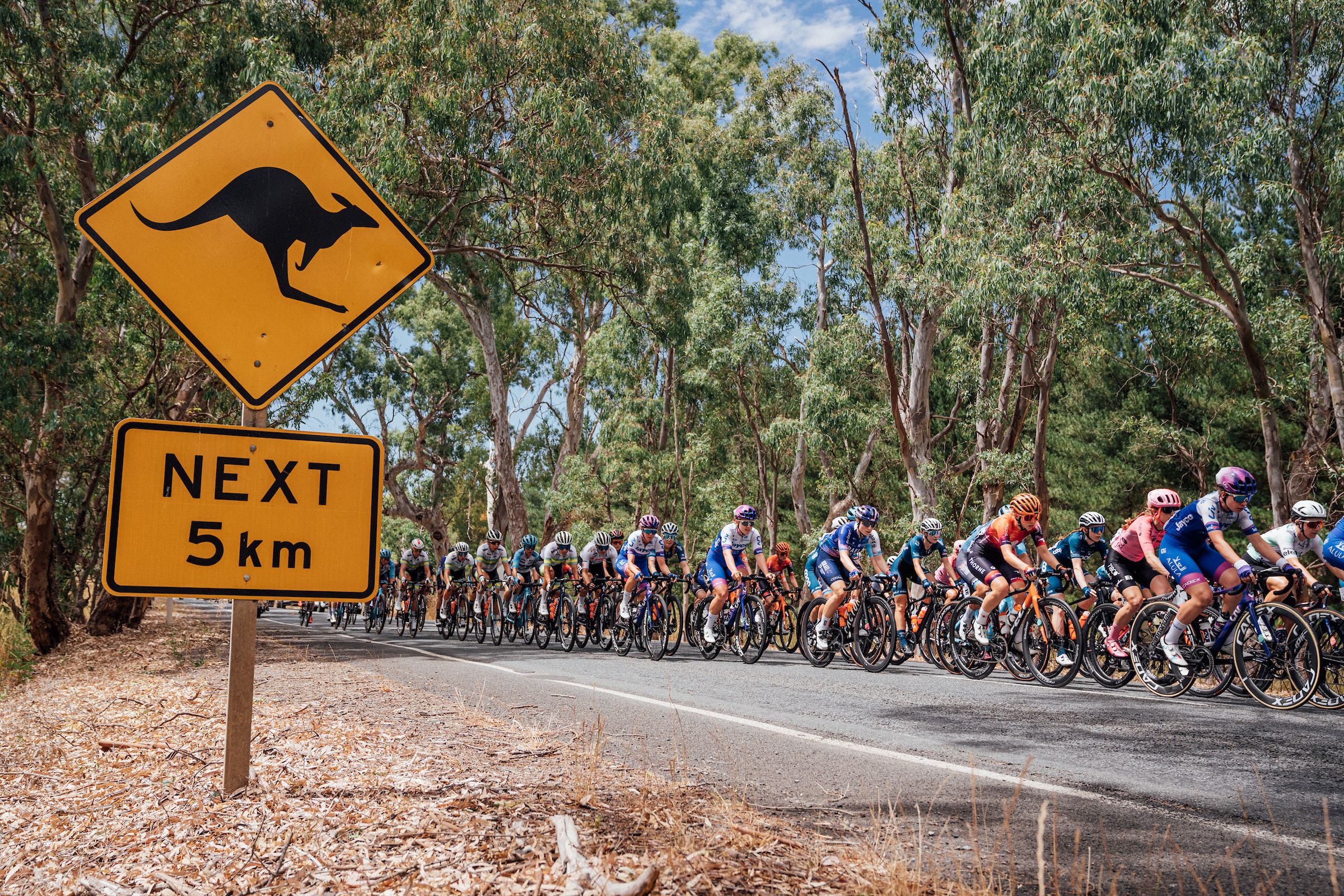 Santos Women's Tour Down Under Race Preview: Route, favourites and key changes for the 2026 race