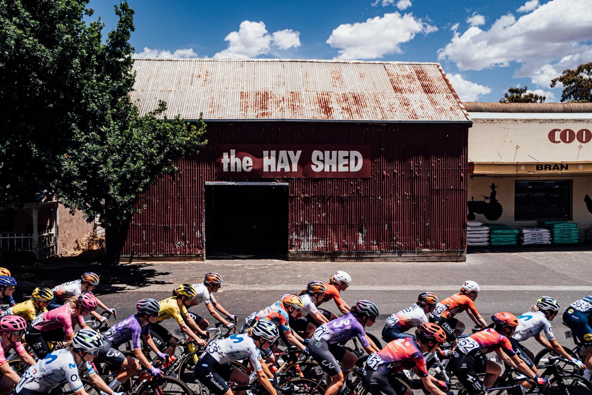 Picture by Zac Williams/SWpix.com - 18/01/2026 - Cycling - 2026 Women's Tour Down Under Stage 2 - Magill to Paracombe - The peloton.