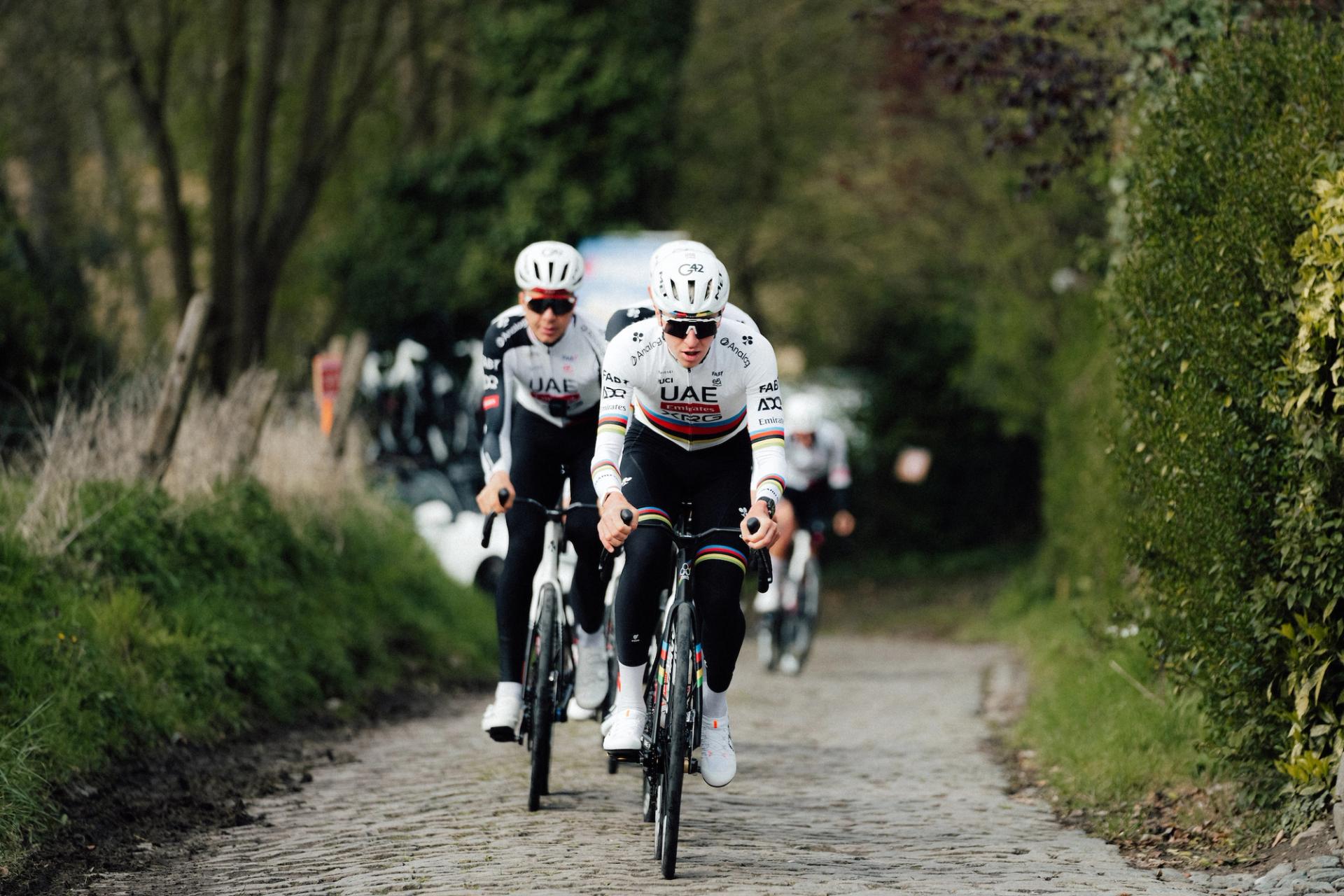 Tour of Flanders 2026: Live Stream, TV Channel & Key Moments to Watch
