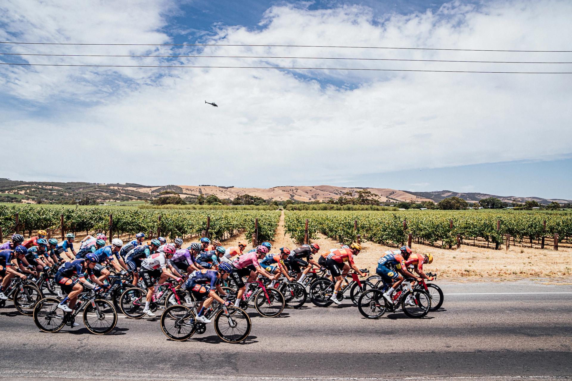 Picture by Zac Williams/SWpix.com - 24/01/2026 - Cycling - 2026 Tour Down Under - Stage 4 - Brighton to Willunga - The peloton.