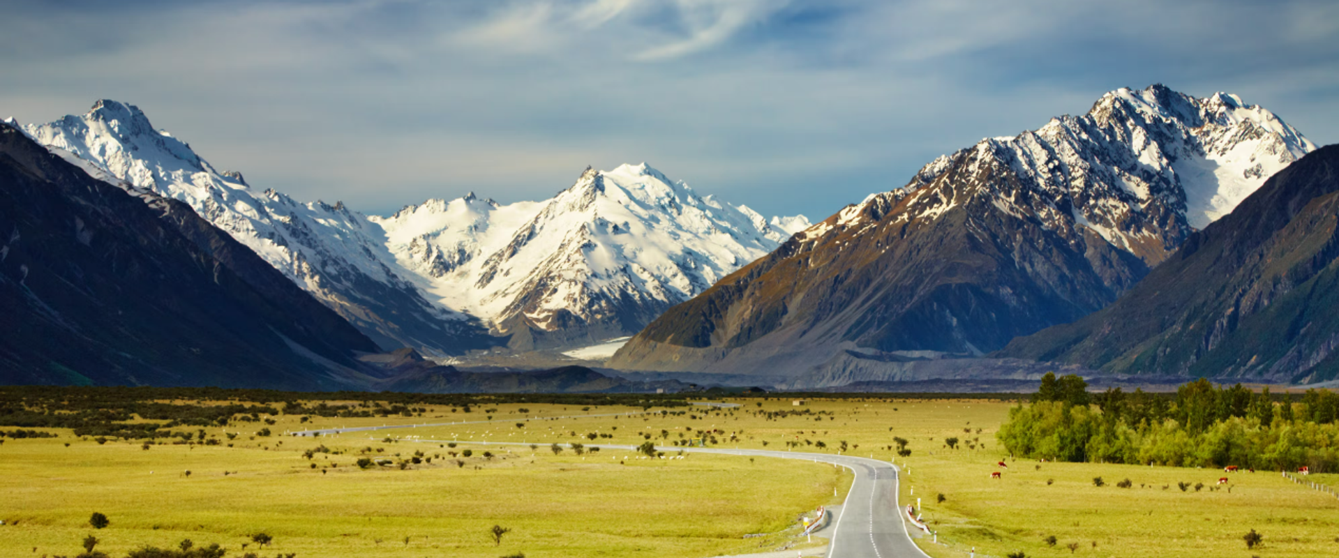 New Zealand: Everything you need to know