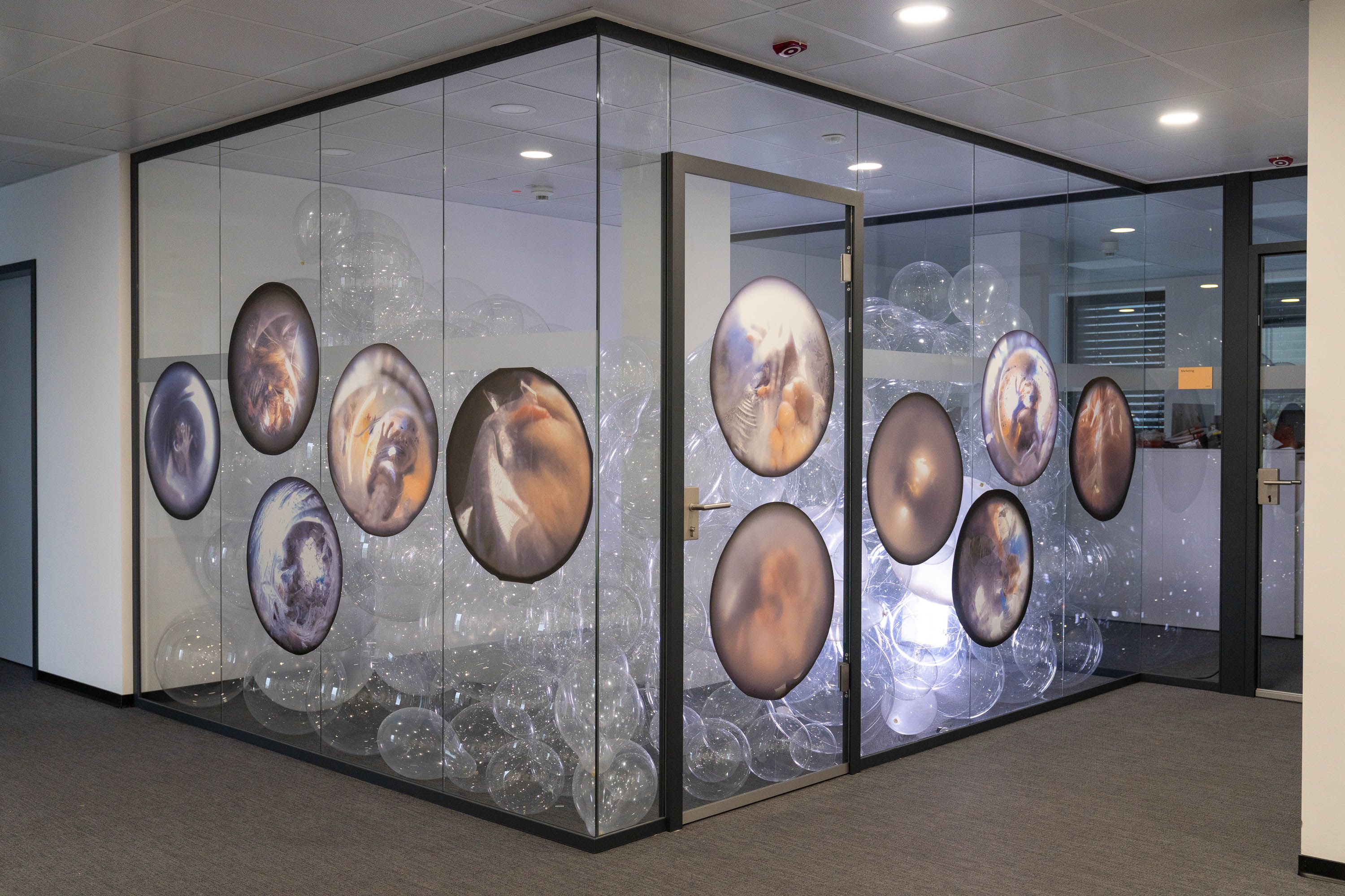 Installation von Sarah Niecke