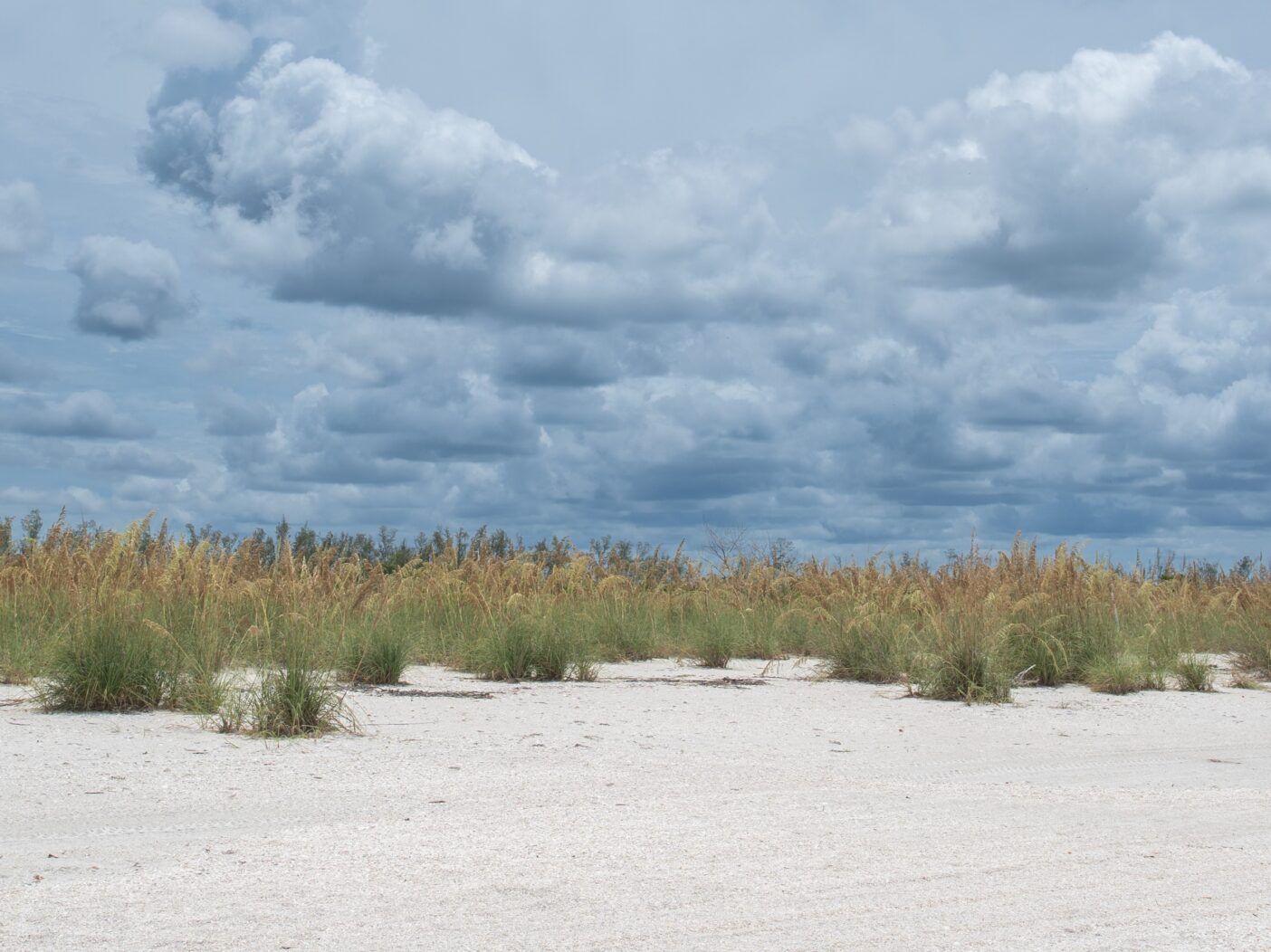 Feature photo
