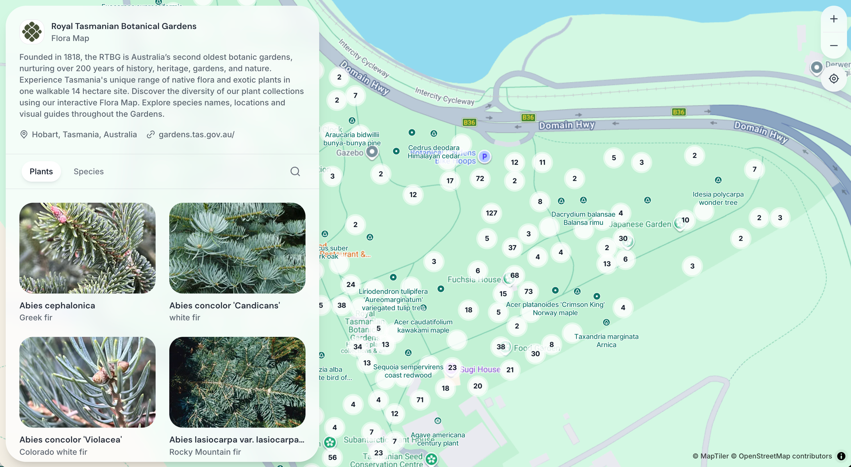 Feature photo