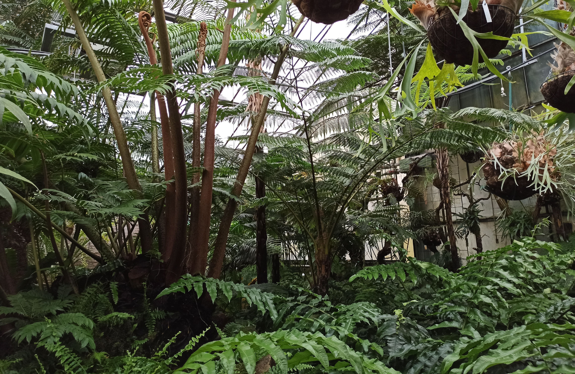 Garden of the Month – December 2025: Botanischer Garten Marburg – Hortis