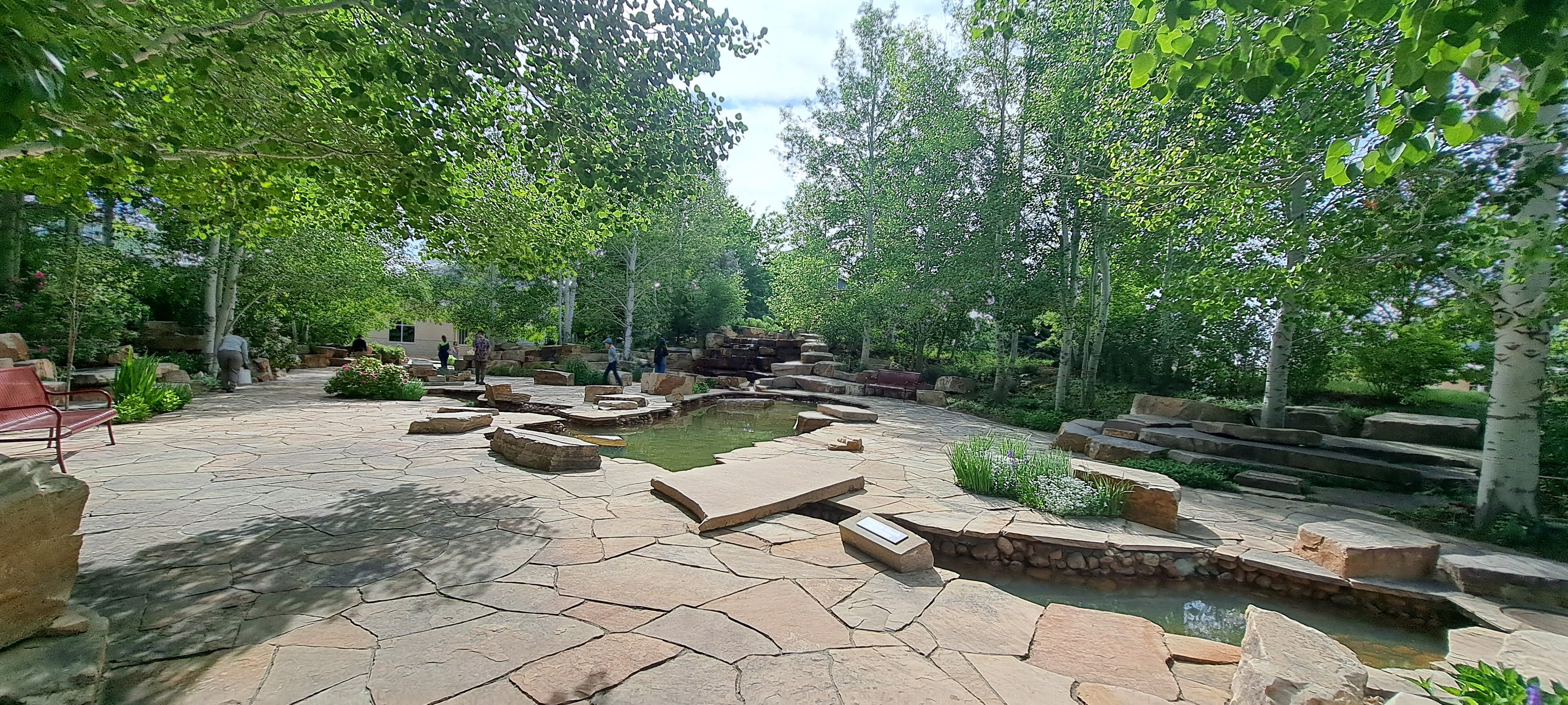 Feature photo