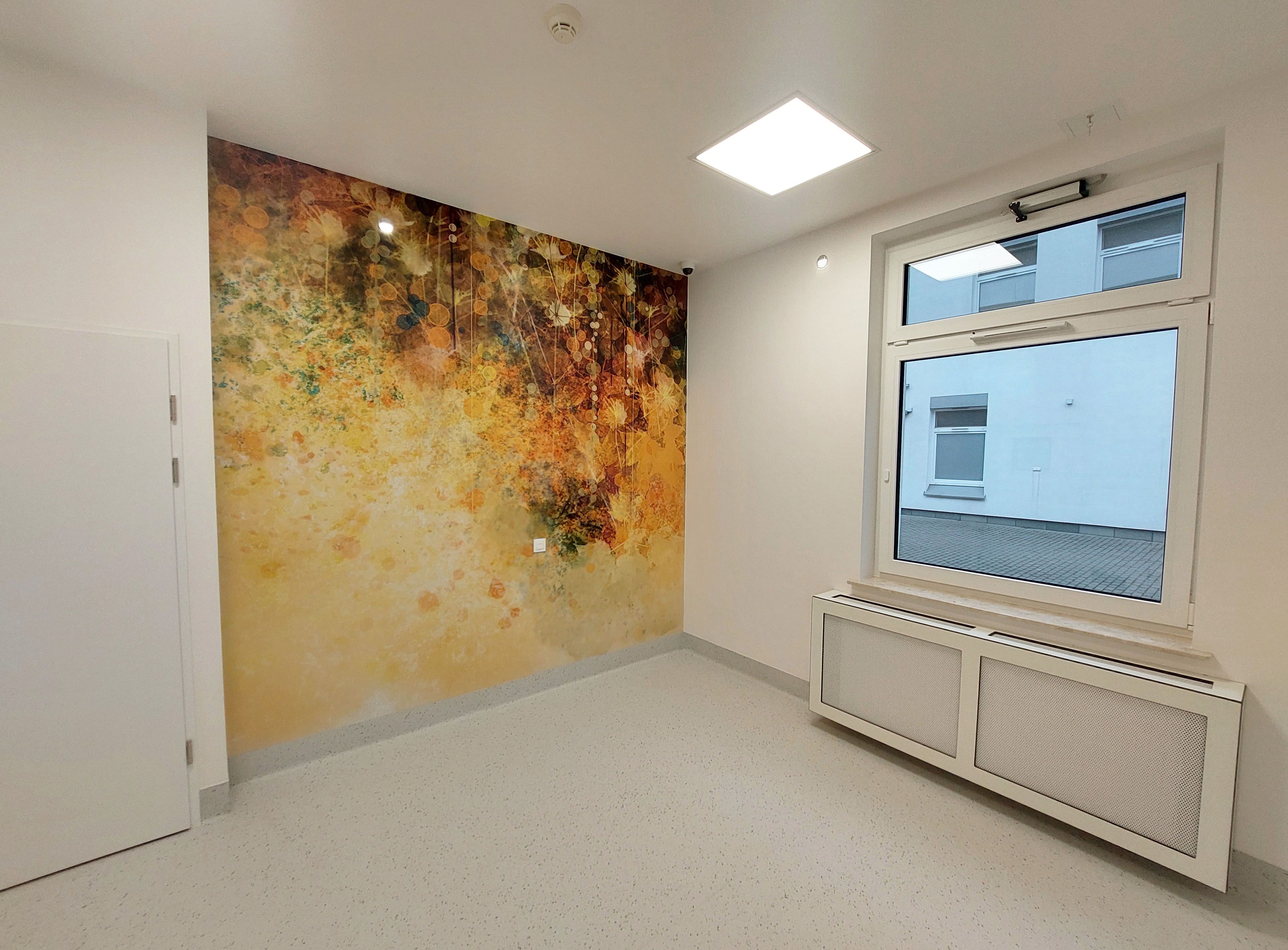 Remont Oddziału Psychiatrycznego Dzieci i Młodzieży, Szpital. Im. Jurasza w Bydgoszczy - zdjęcie 34