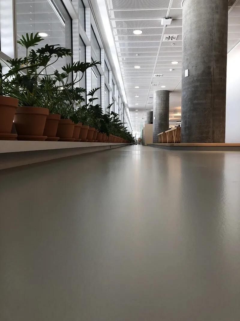 Polished concrete interior Canterbury