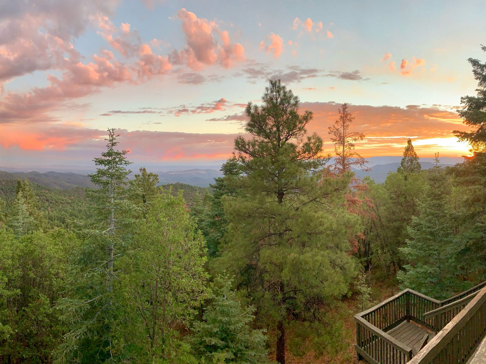 Ignite Your Morning, forest sunrise