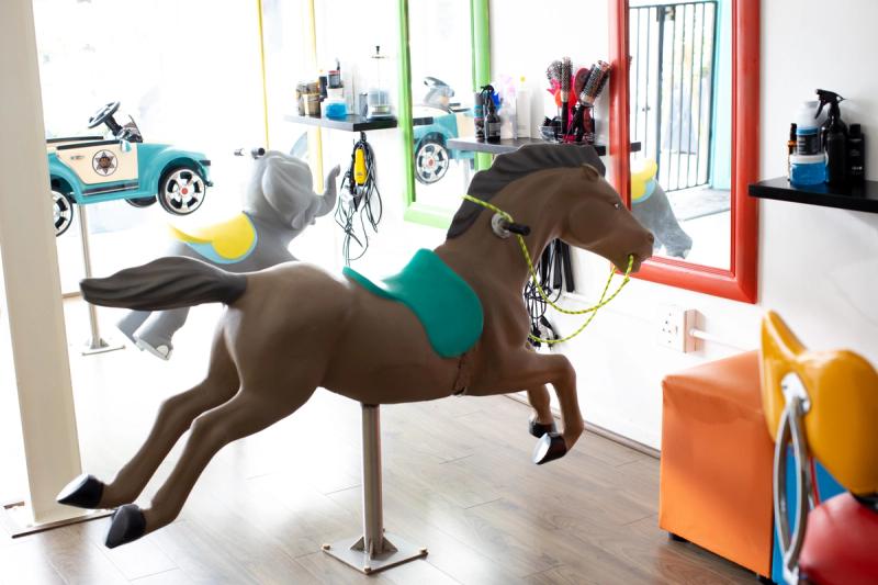 Horse Chair