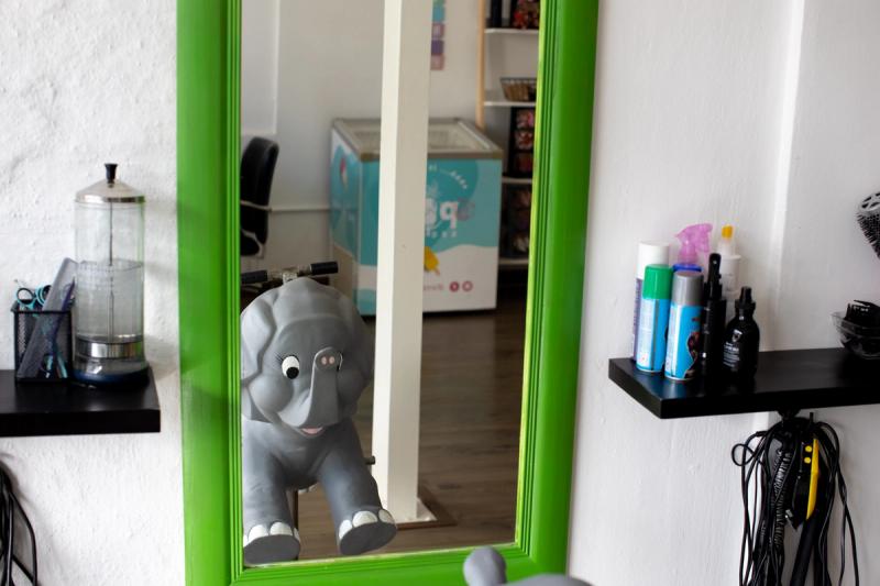 Elephant Chair