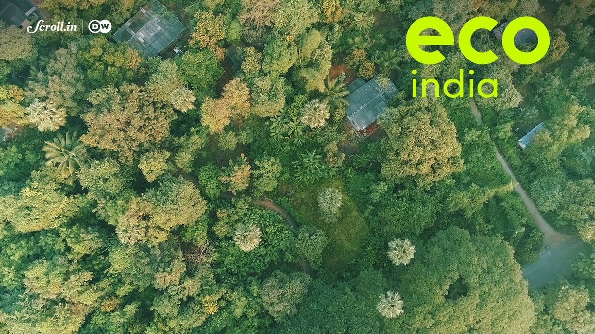 Original Eco India film thumbnail about Mumbai’s Aarey forest