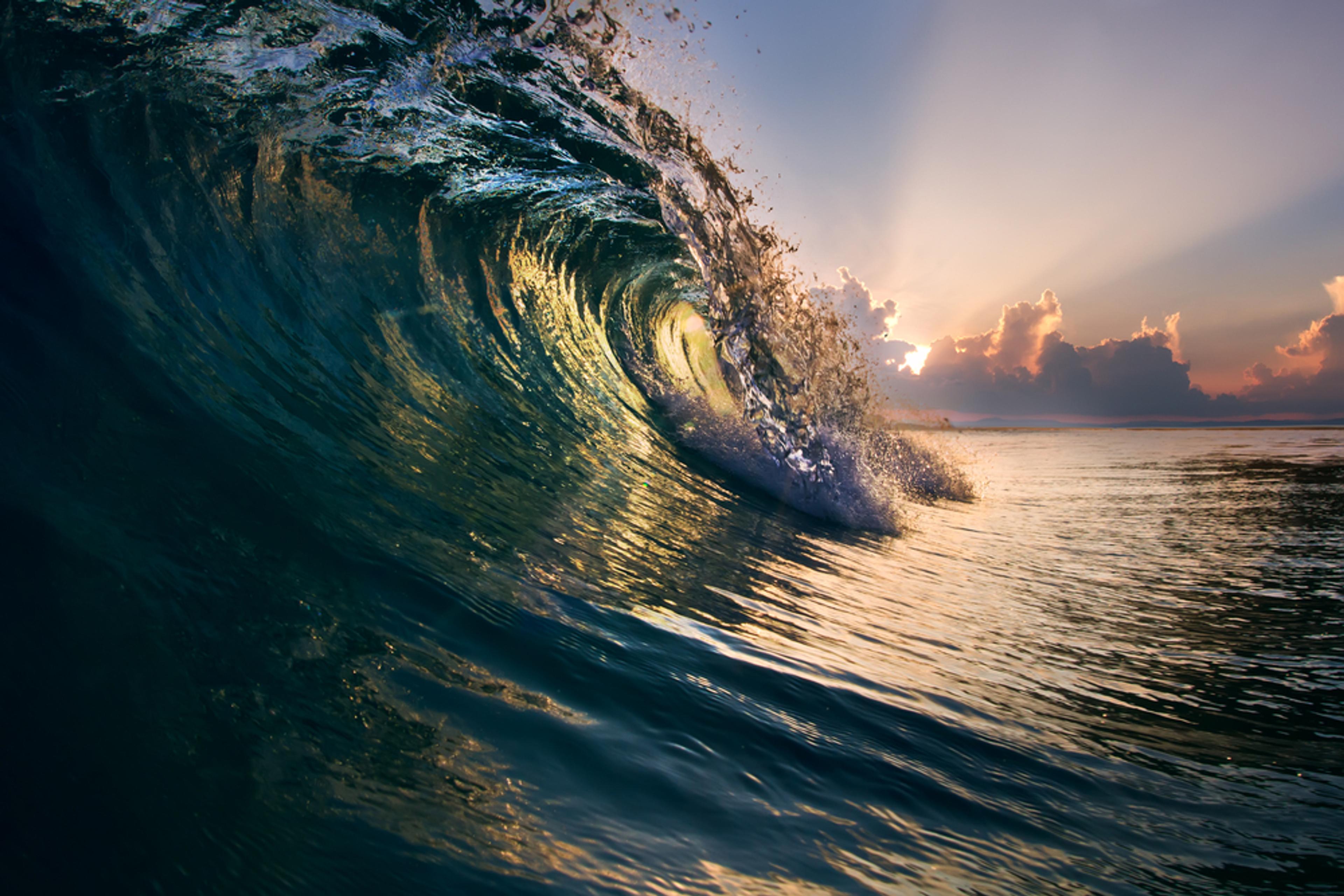 Image for The Genesis of Swell by Ripple