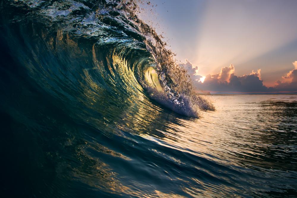 Image for The Genesis of Swell by Ripple