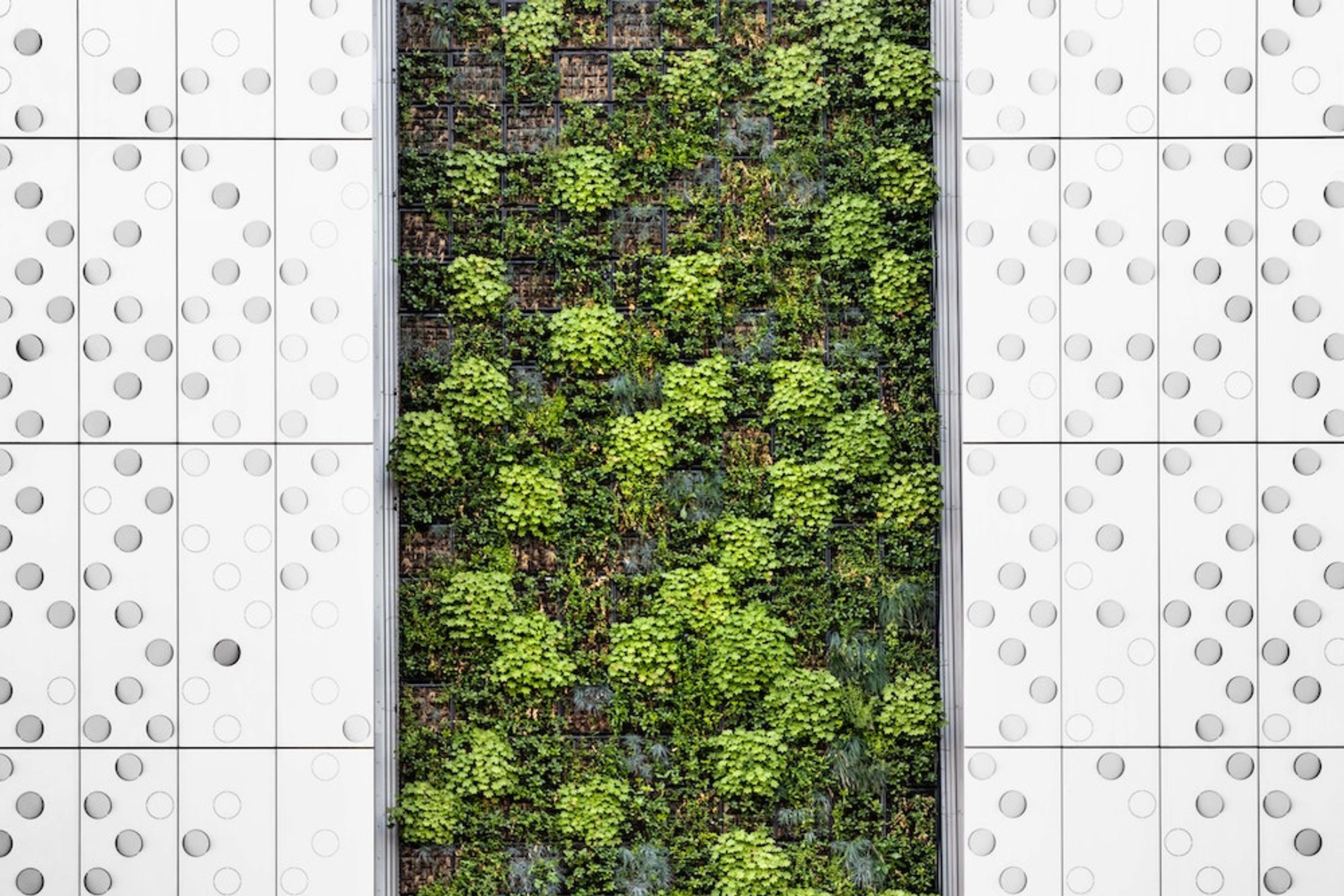 Image for A Greener Future for Crypto and Blockchain