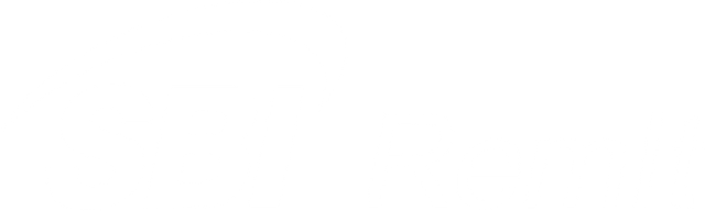 SBI Remit logo