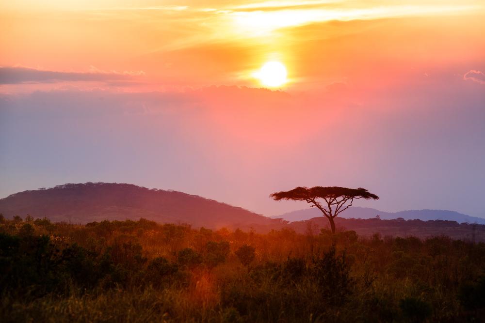 Image for Ripple and Raising Malawi Launch Campaign to Sponsor Children in Need
