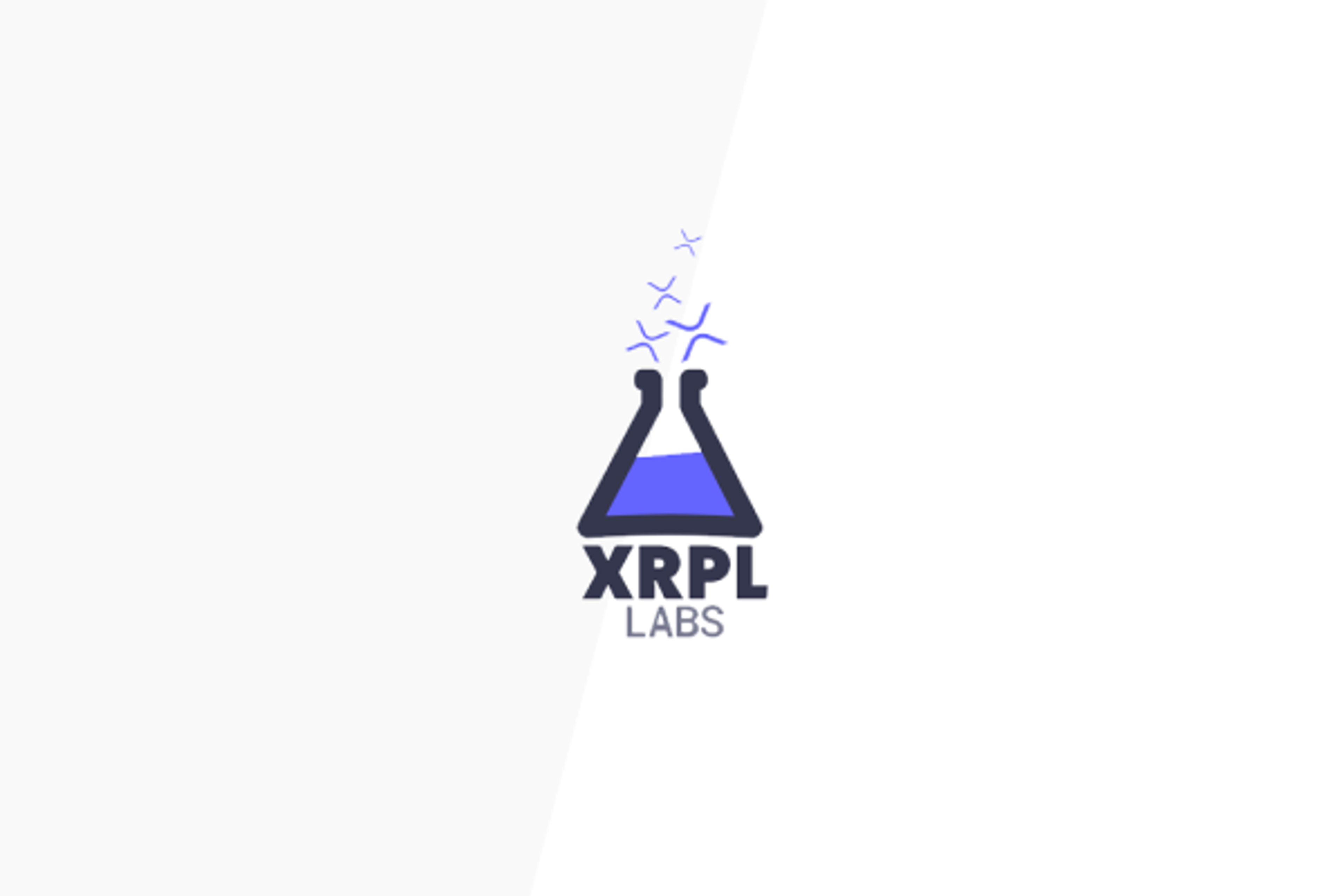 Image for Investing in Wietse Wind’s XRPL Labs