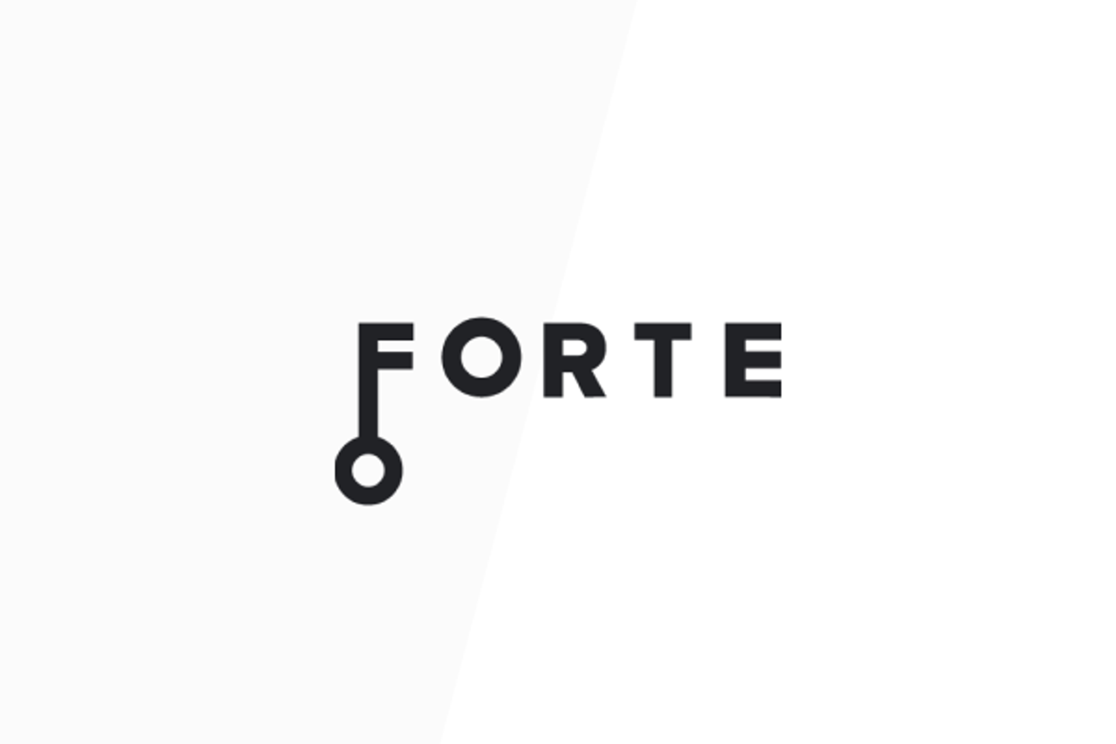 Image for Partnering with Forte