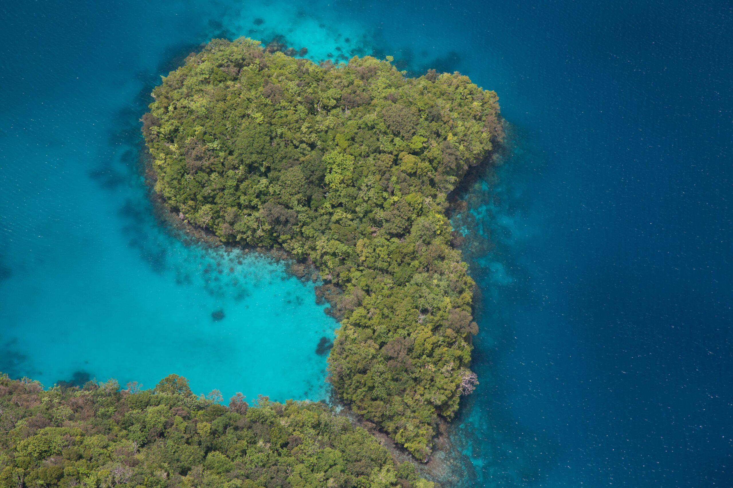 Image for Republic of Palau Partners with Ripple to Develop Digital Currency Strategy