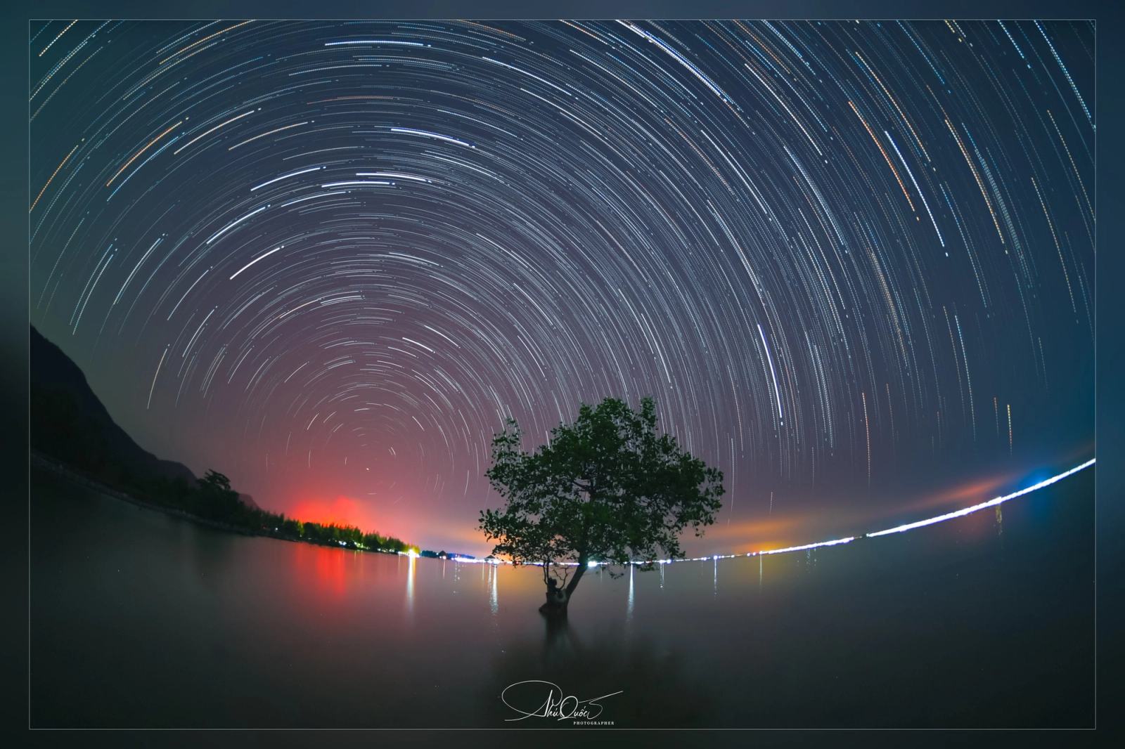 Circular star trails above a coastal tree and distant shoreline lights.