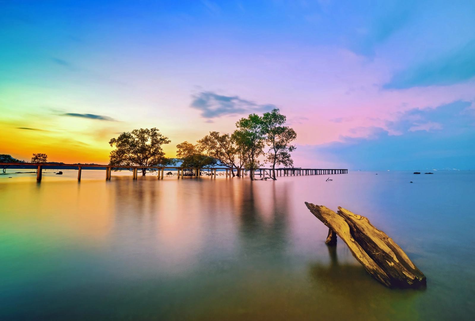Coastal trees and a wooden walkway reflected in still water at dusk.