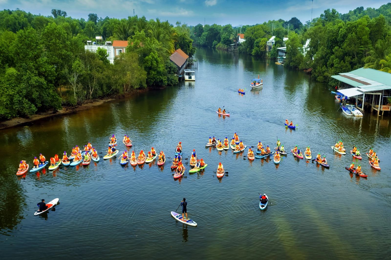 Aerial view of a large kayaking group gathered on a tree-lined river.