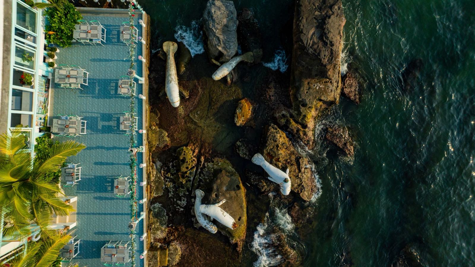 Overhead view of the dining terrace, rocky shore and fish sculptures.