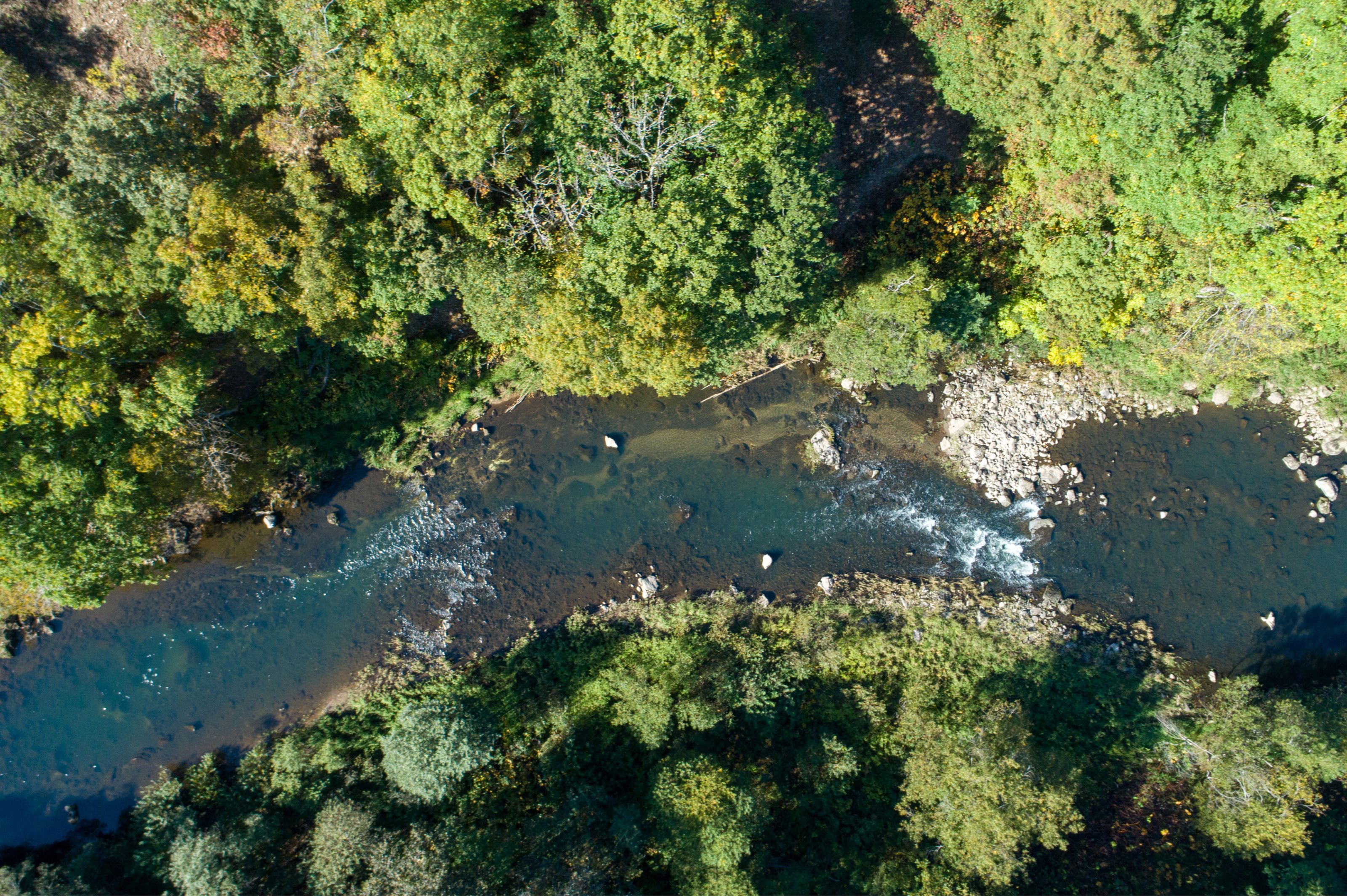 Aerial view of a winding river flowing through a forest with green and some autumn-colored trees.
