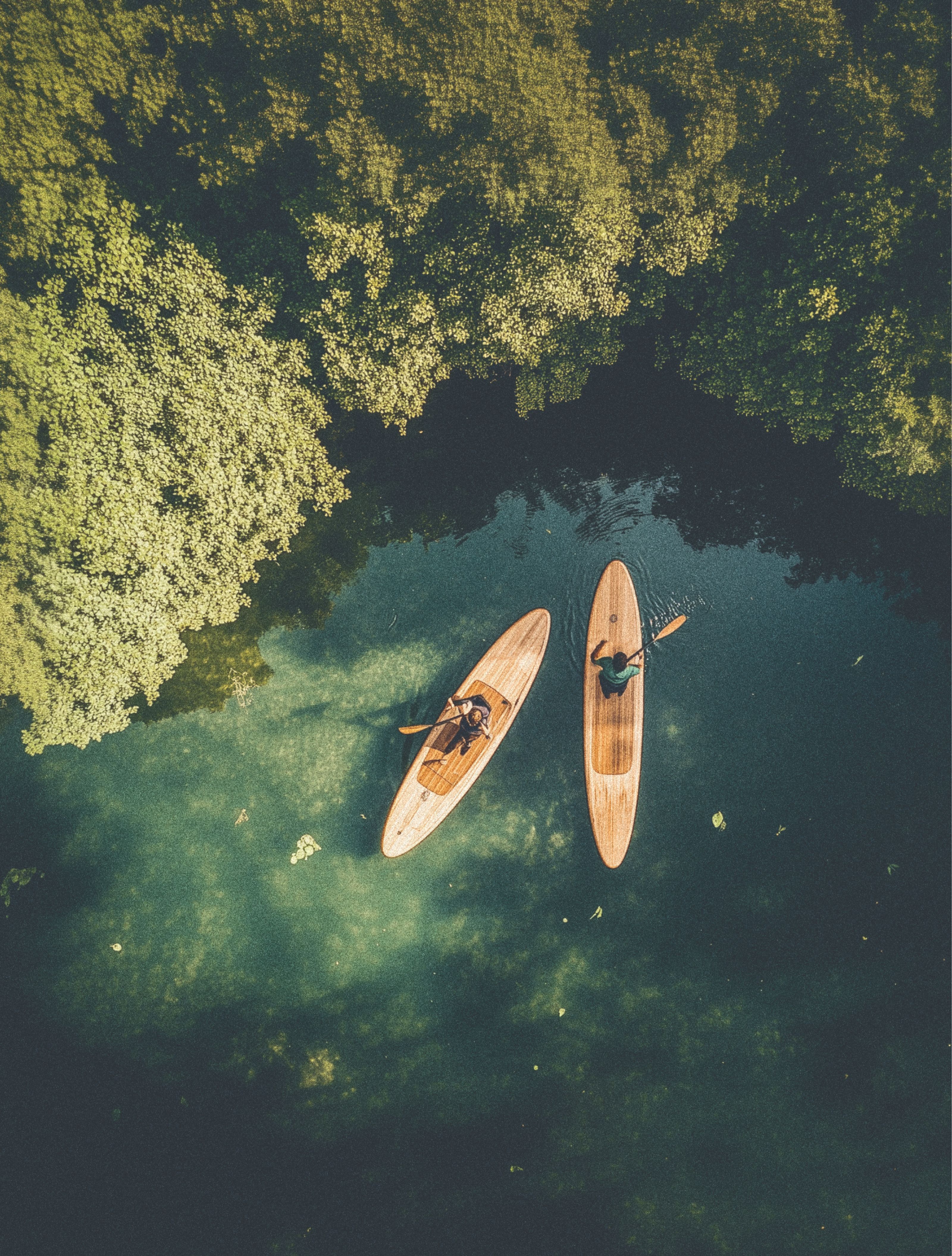 Aerial view of two people on wooden paddleboards in green water bordered by trees.