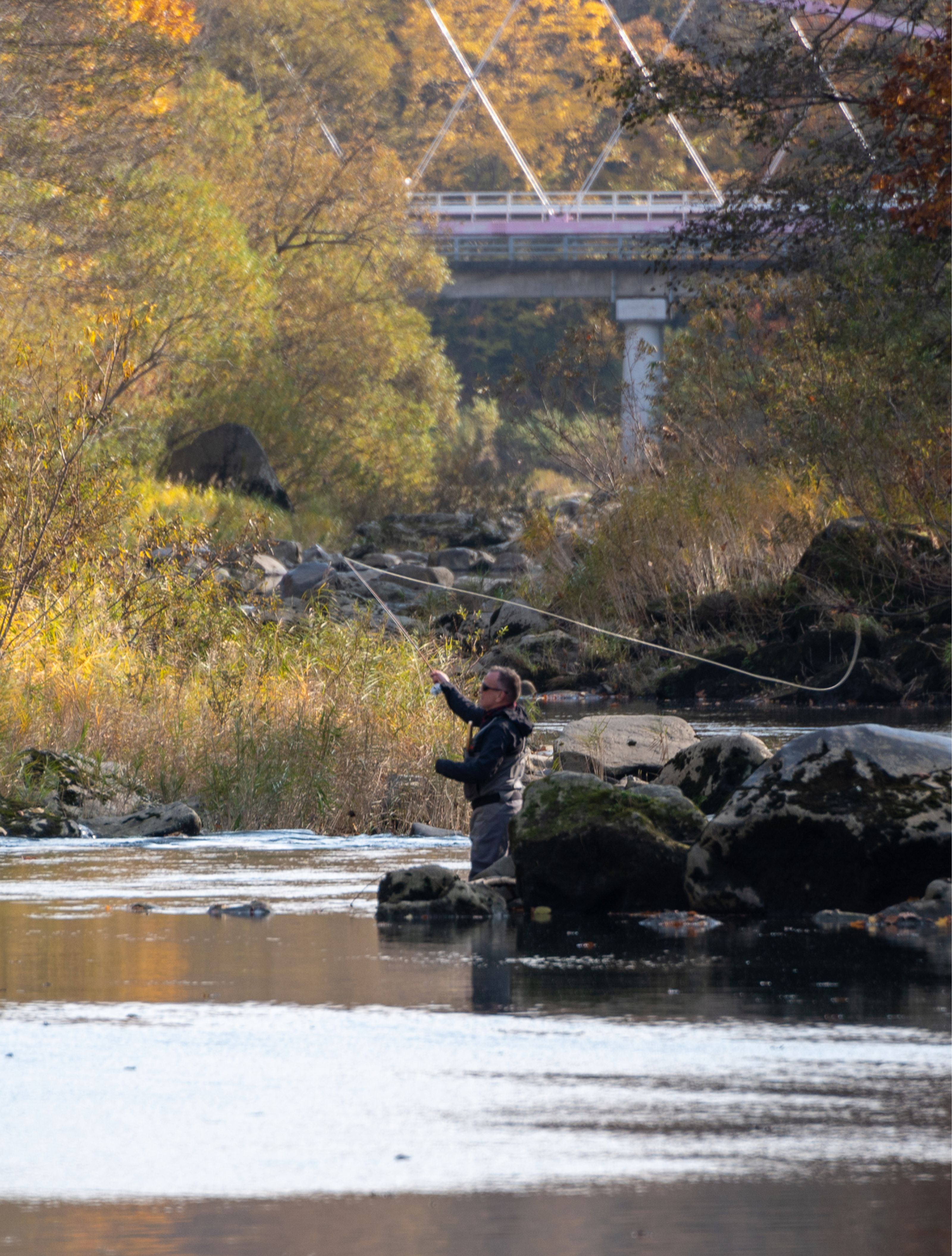 Man in waders fly fishing in a river.