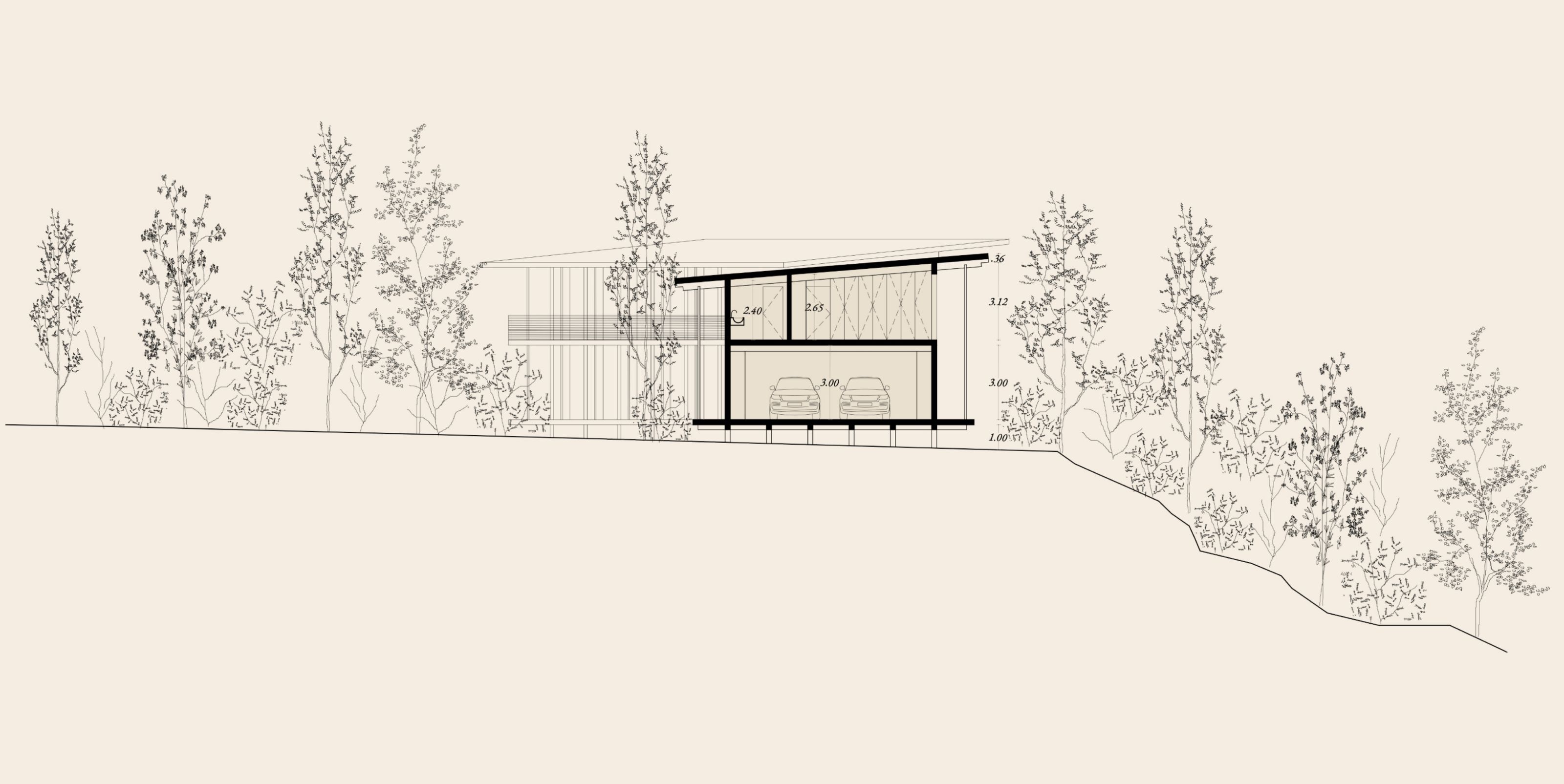 Architectural section drawing of a modern house with a garage and sloped roof, built into a wooded hillside.