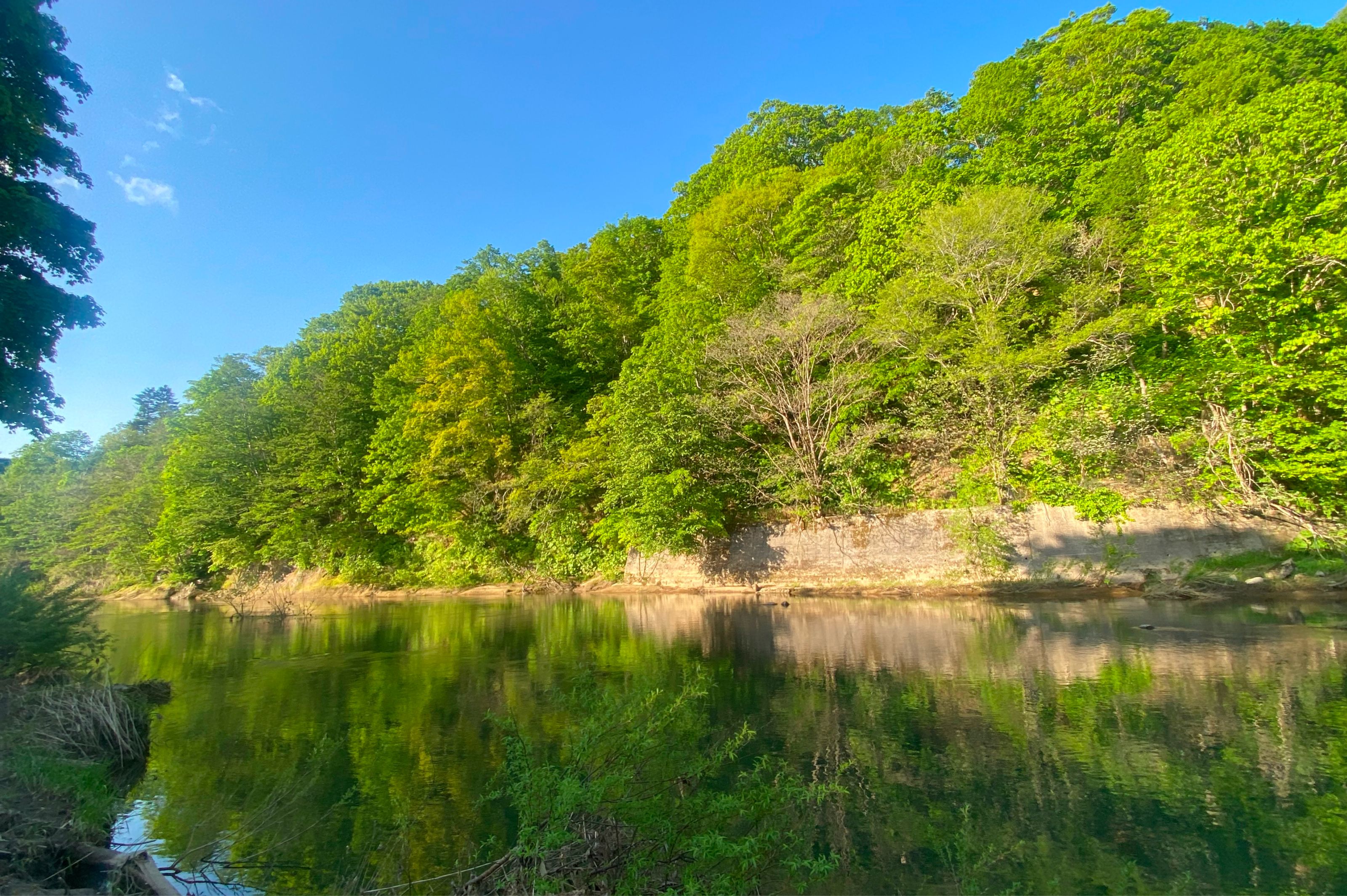 A river reflecting green trees under a clear blue sky.