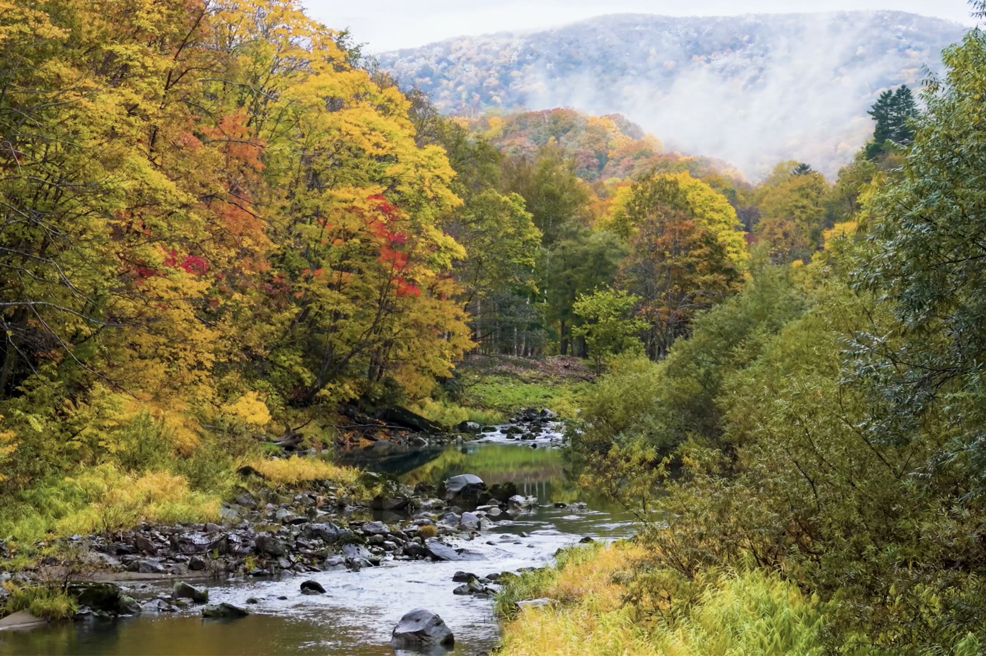 A river winds through a vibrant autumn forest with misty mountains in the background.