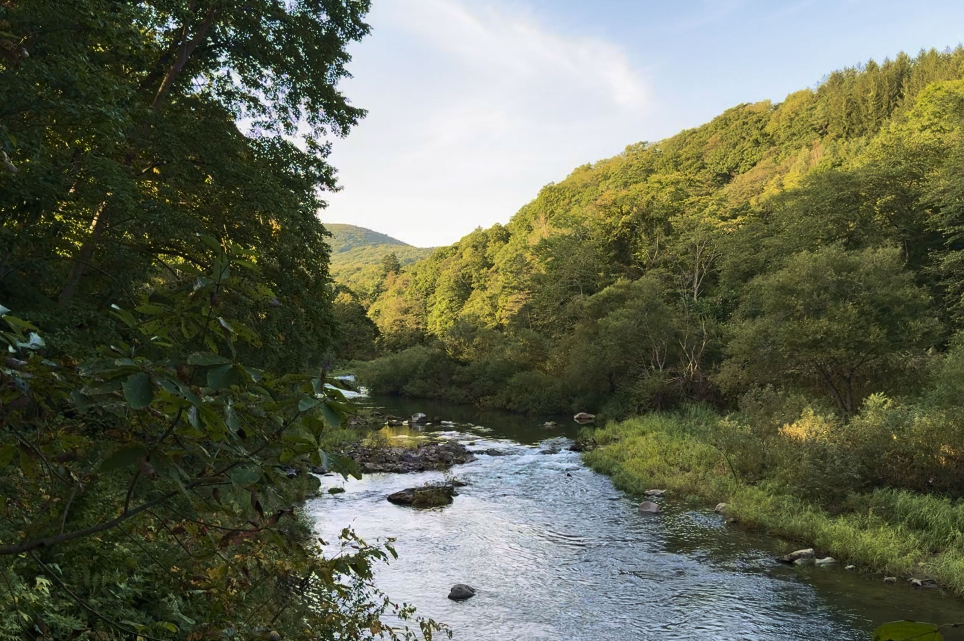 A river winds through a lush green valley with tree-covered hills under a clear sky.