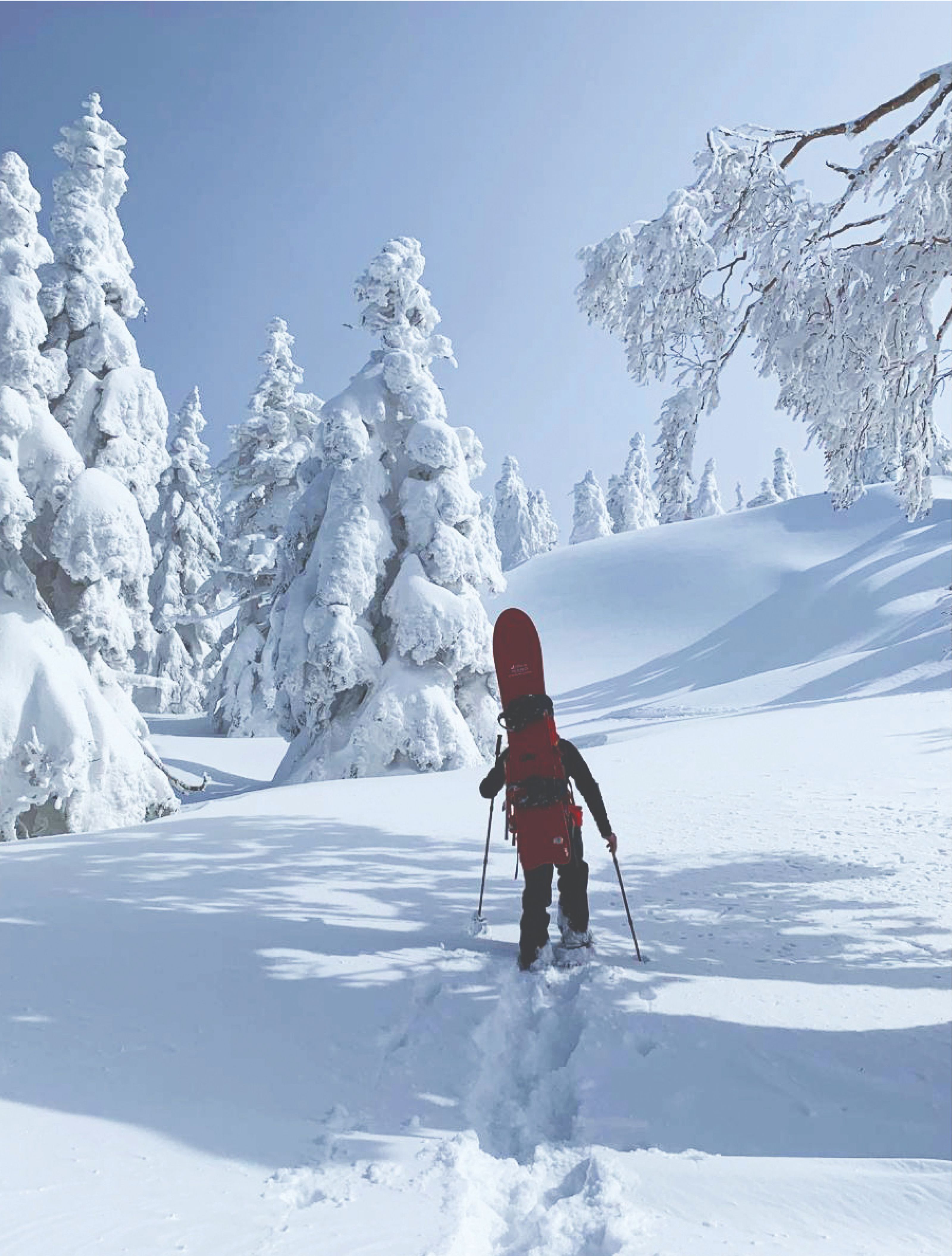 A person snowshoeing through deep snow, carrying a snowboard, amidst heavily snow-covered trees under a clear sky.
